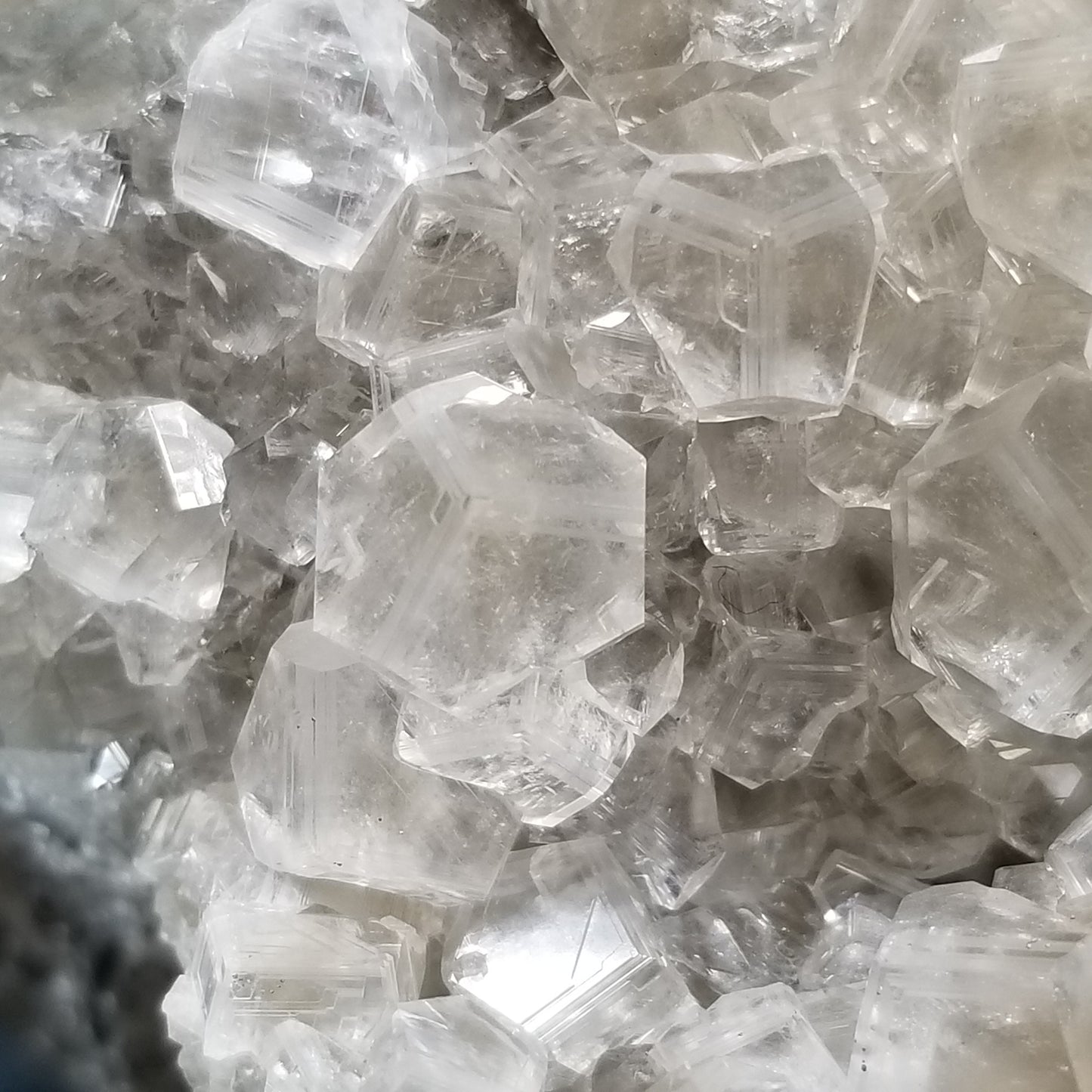 #33000 Clear Nailhead Spar Calcite on Chalcopyrite ore and multiple small fossils in the matrix
