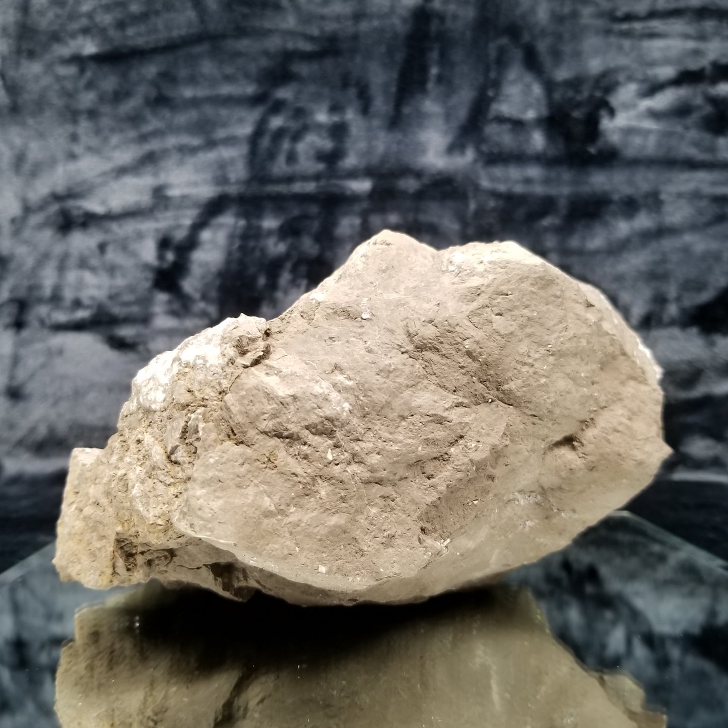 #33000 Clear Nailhead Spar Calcite on Chalcopyrite ore and multiple small fossils in the matrix