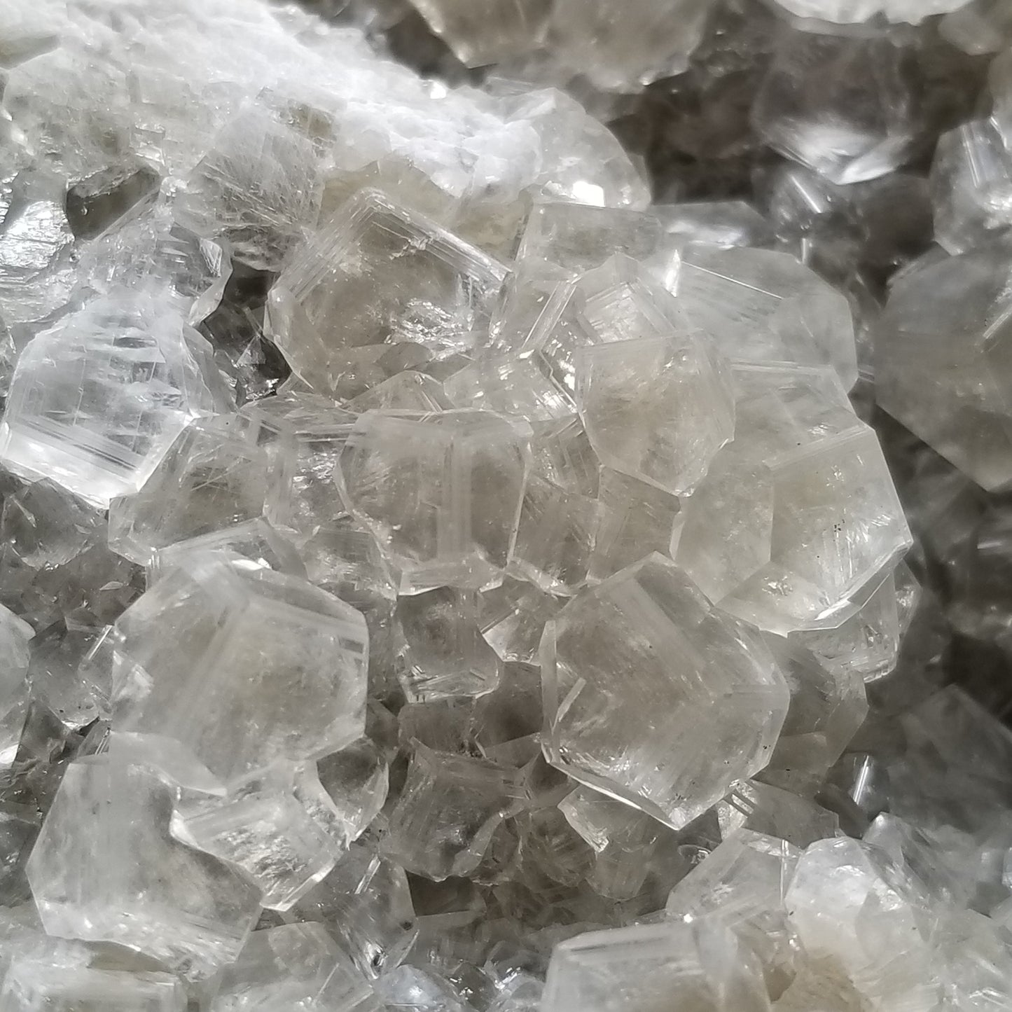#33000 Clear Nailhead Spar Calcite on Chalcopyrite ore and multiple small fossils in the matrix