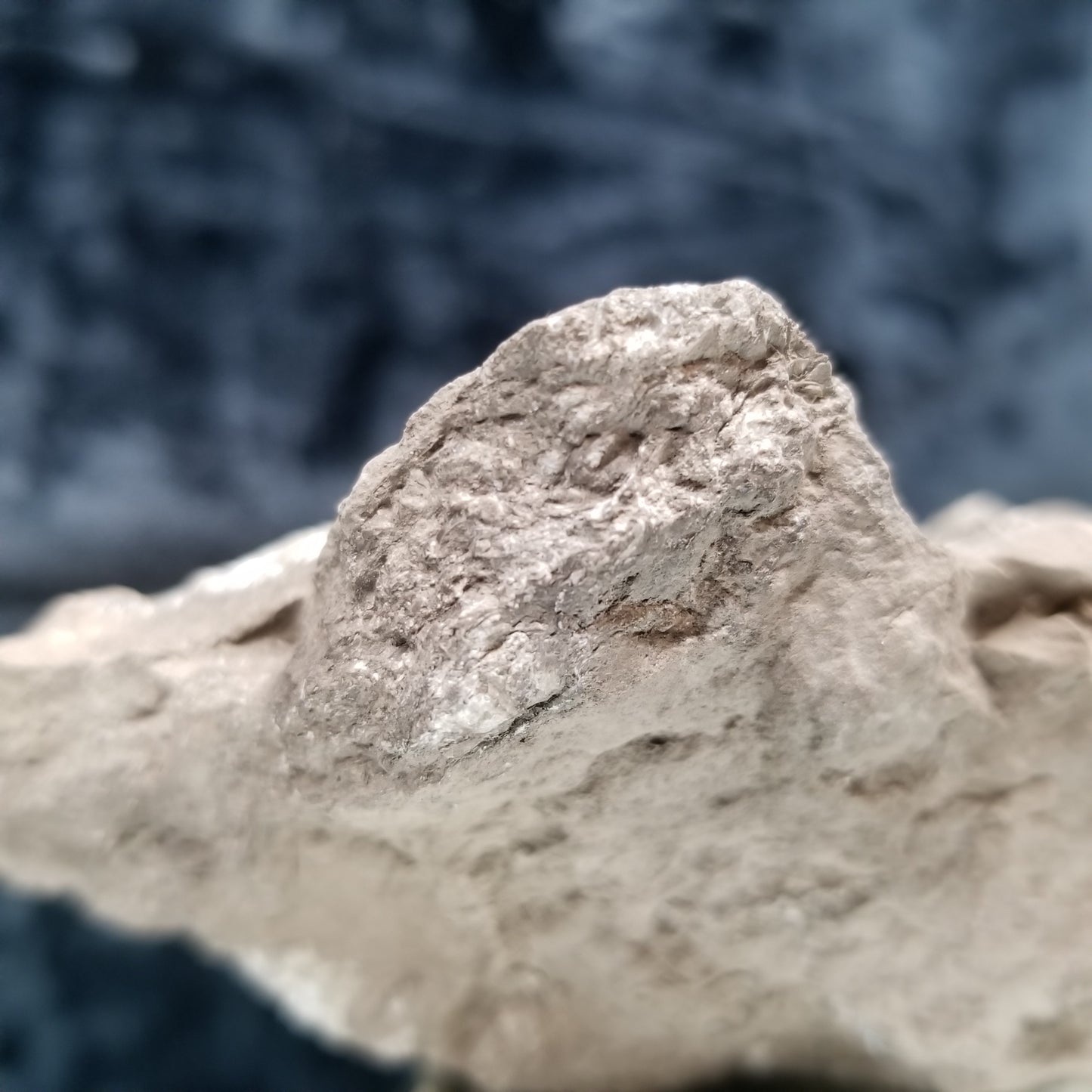 #33007 Super clear Nailhead Spar Calcite cluster, Chalcopyrite ore and multiple small fossils in the matrix