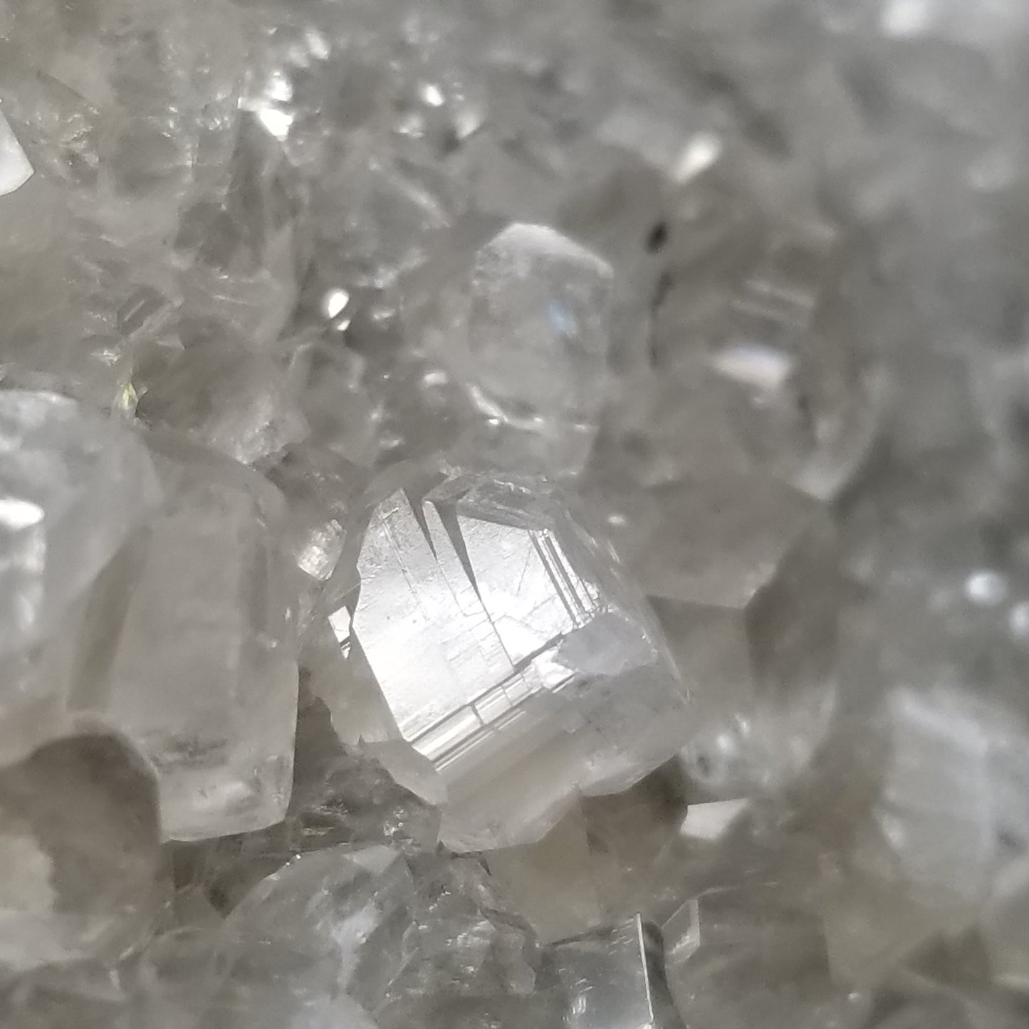 #33011 Super clear Nailhead Spar Calcite cluster, Chalcopyrite ore and multiple small fossils in the matrix