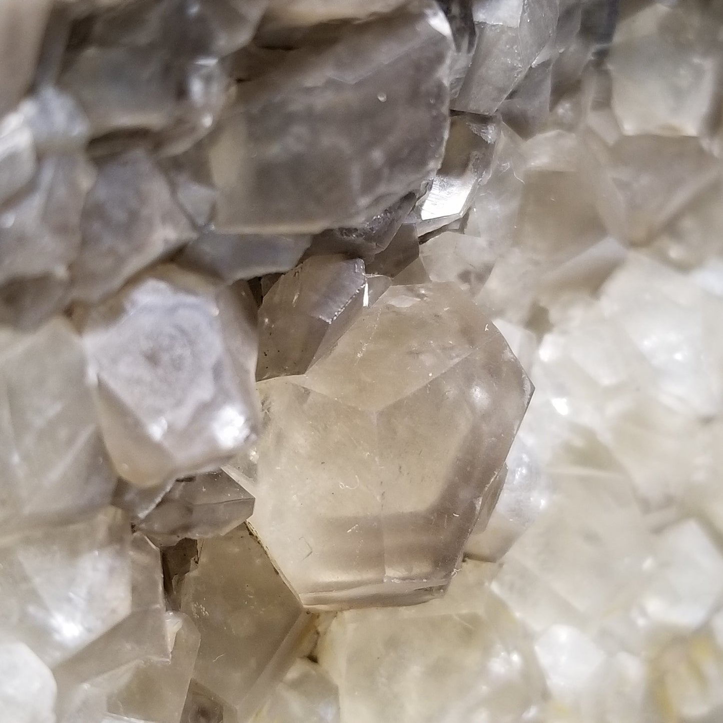 #33013 Clear Nailhead Spar Calcite cluster, Chalcopyrite ore and multiple small fossils in the matrix