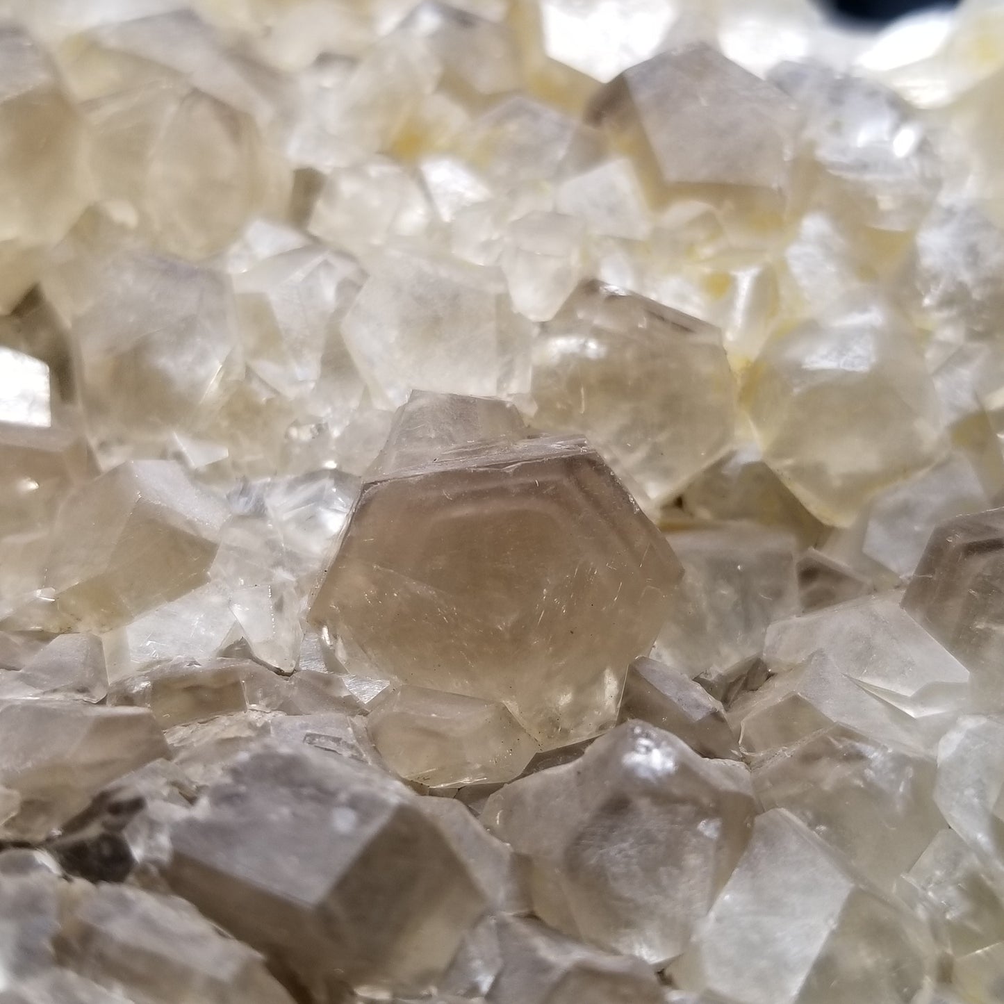 #33013 Clear Nailhead Spar Calcite cluster, Chalcopyrite ore and multiple small fossils in the matrix