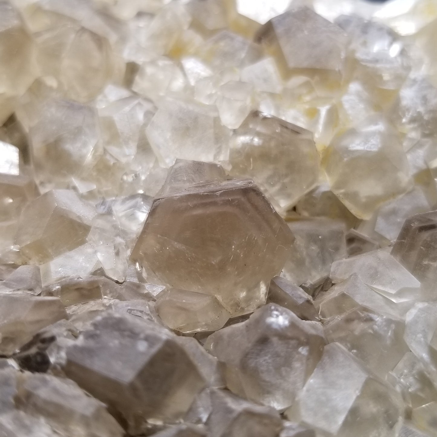 #33013 Clear Nailhead Spar Calcite cluster, Chalcopyrite ore and multiple small fossils in the matrix