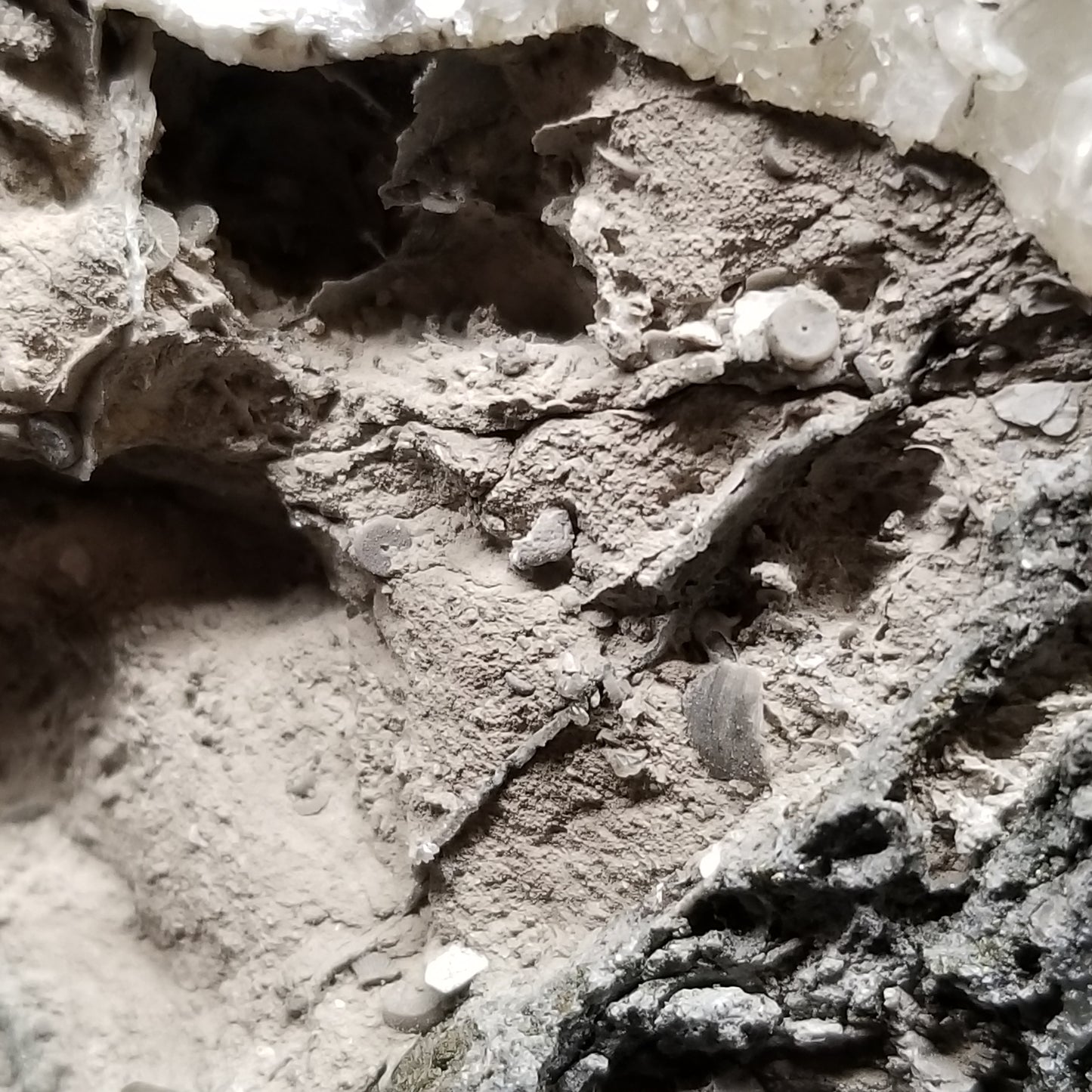 #33017 Special formation of Nailhead Spar Calcite cluster, Chalcopyrite ore and multiple small fossils in the matrix