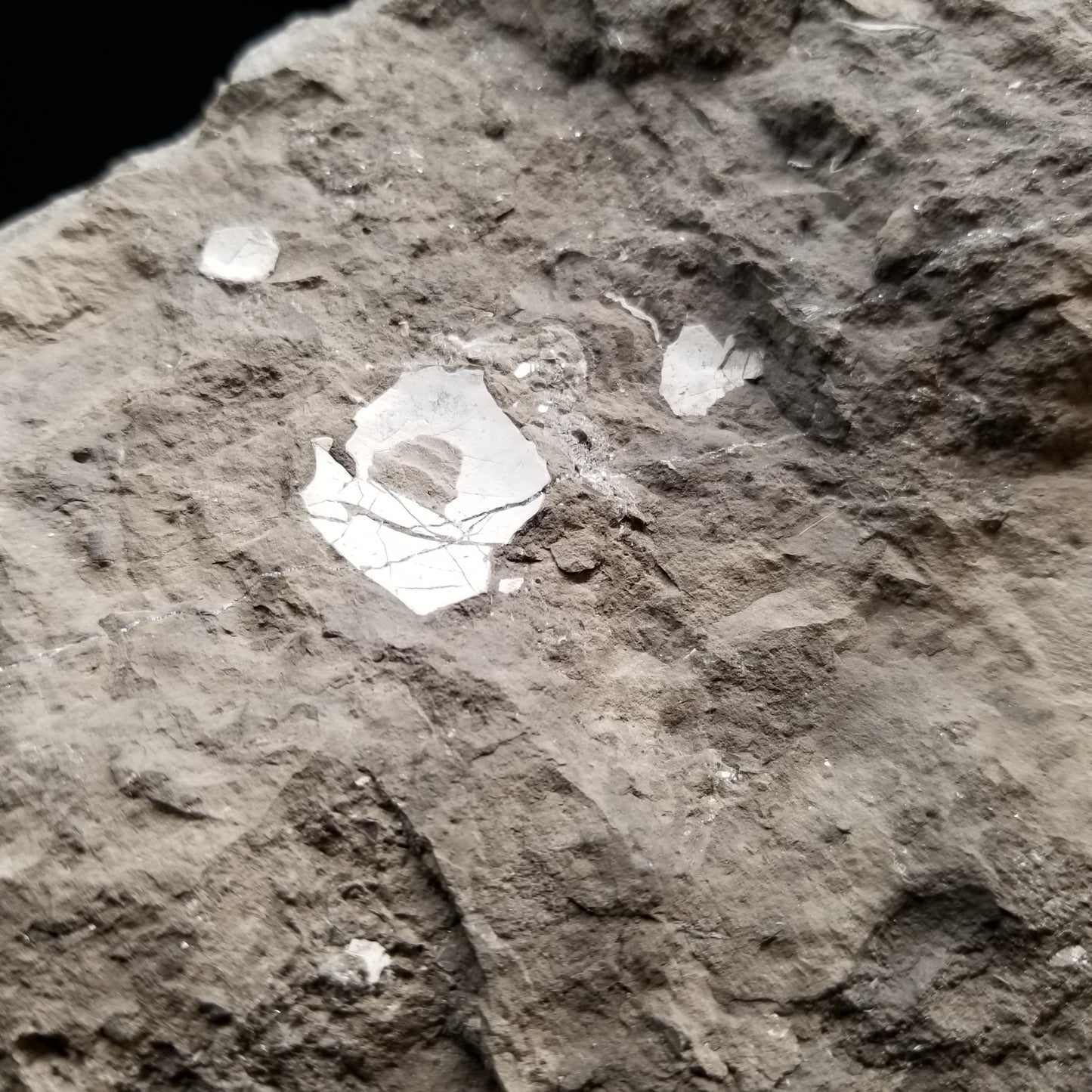 #33020 Super clear Nailhead Spar Calcite geode, Chalcopyrite ore and multiple small fossils in the matrix
