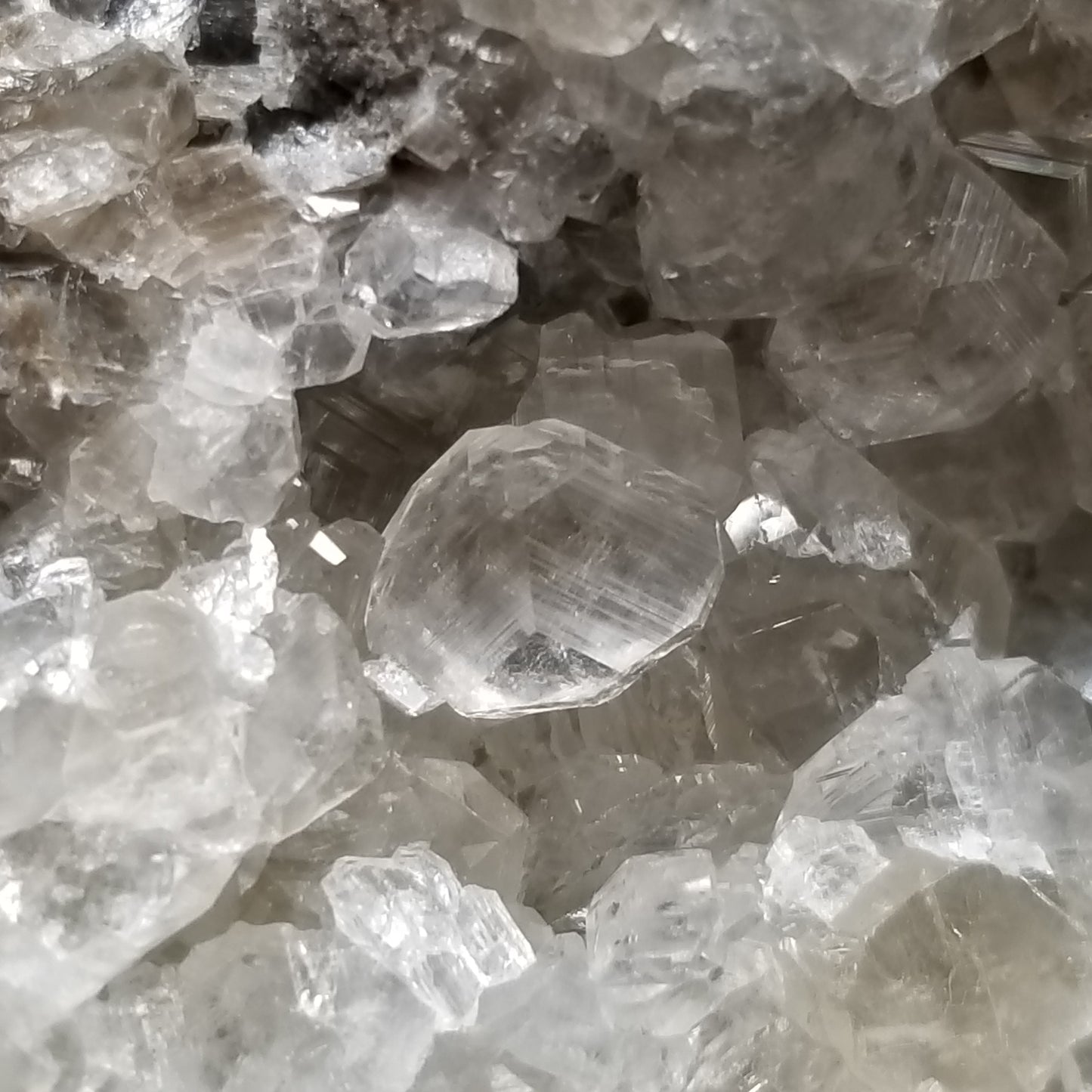 #33023 Super clear Nailhead Spar Calcite goede, Chalcopyrite ore and multiple small fossils in the matrix