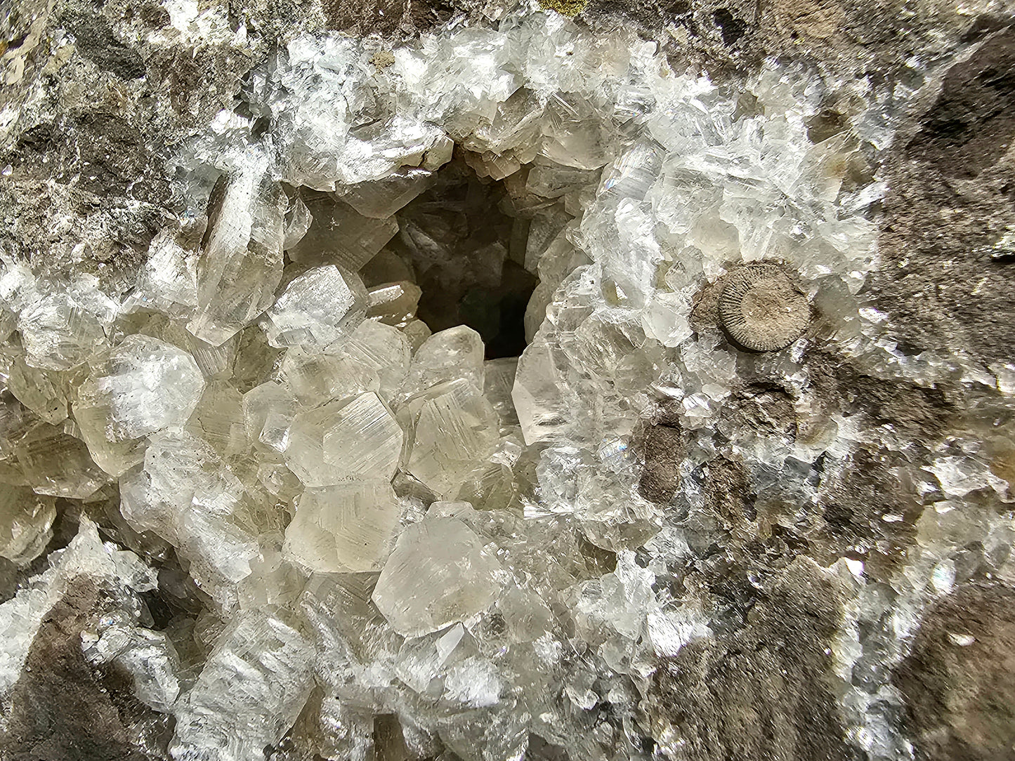 #33026 Super clear Nailhead Spar Calcite geode, Chalcopyrite ore and multiple small fossils in the matrix