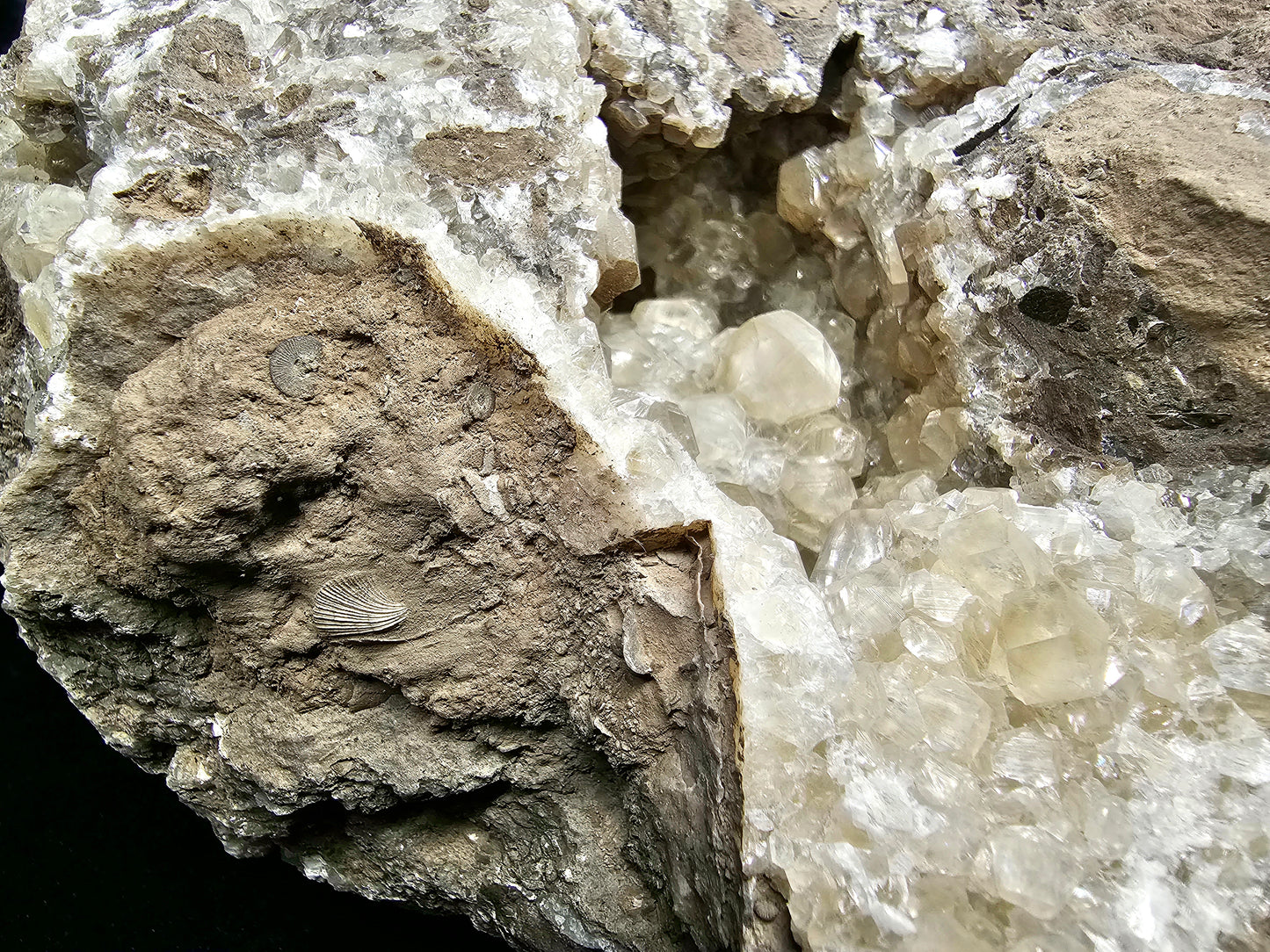 #33026 Super clear Nailhead Spar Calcite geode, Chalcopyrite ore and multiple small fossils in the matrix