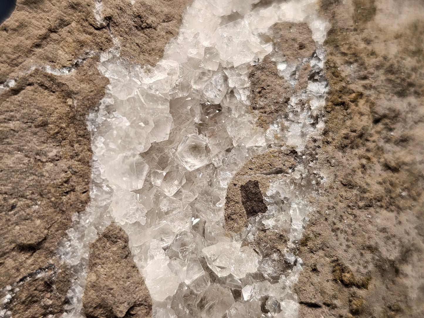 #33040 Super clear Nailhead Spar Calcite cluster, Chalcopyrite ore and multiple small fossils in the matrix