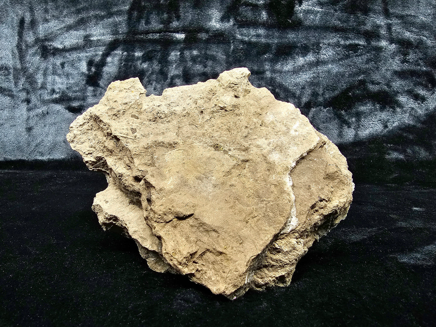 #33043 Super clear Nailhead Spar Calcite cluster, Chalcopyrite ore and multiple small fossils in the matrix