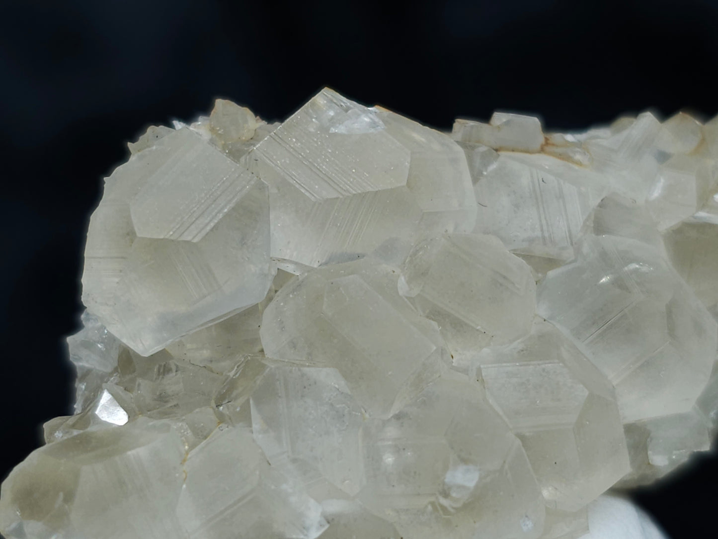 #33047 Super clear Nailhead Spar Calcite cluster, Chalcopyrite ore and multiple small fossils in the matrix
