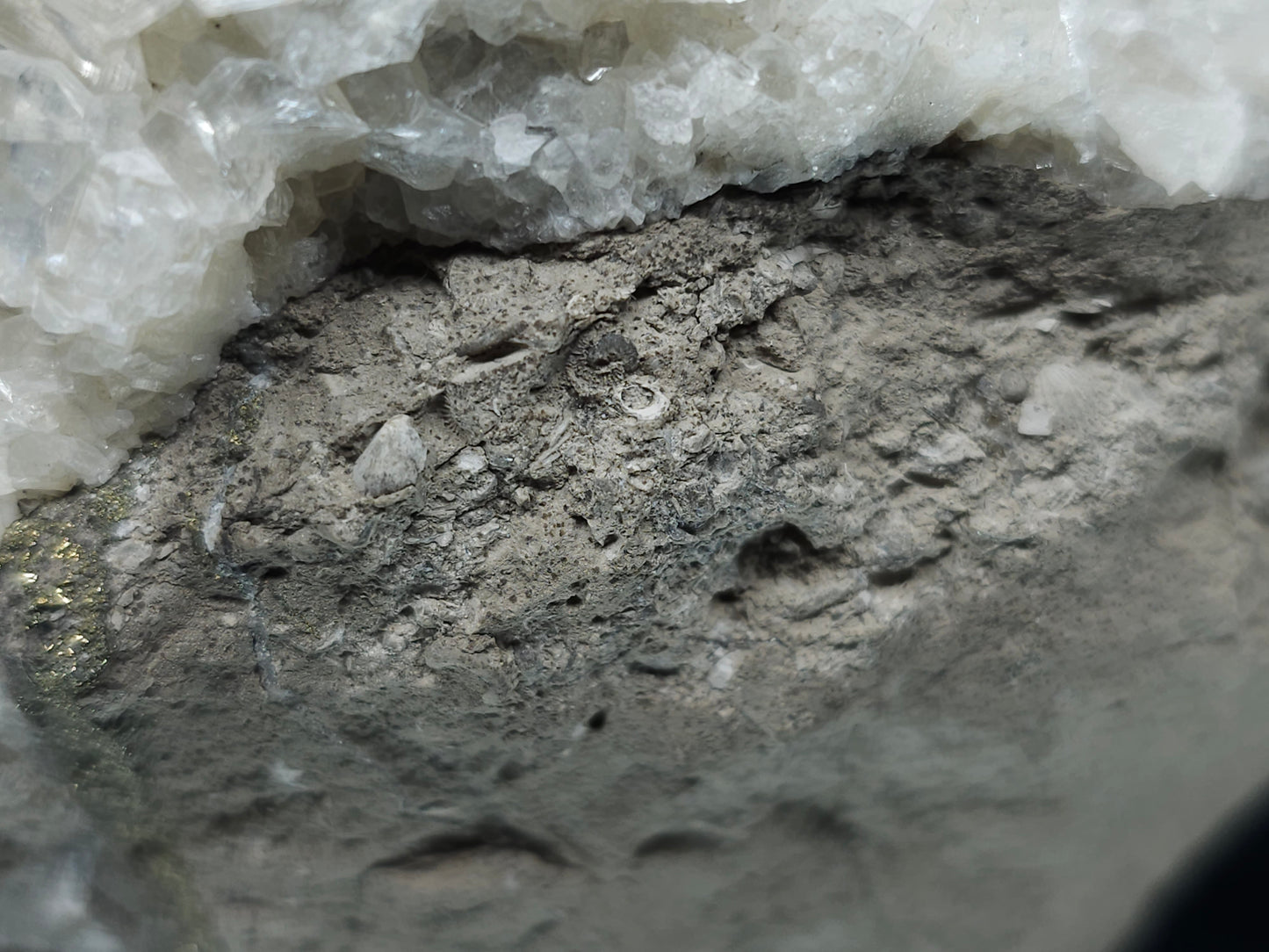 #33110 Super clear Nailhead Spar Calcite cluster with Chalcopyrite ore and multiple small fossils in the matrix