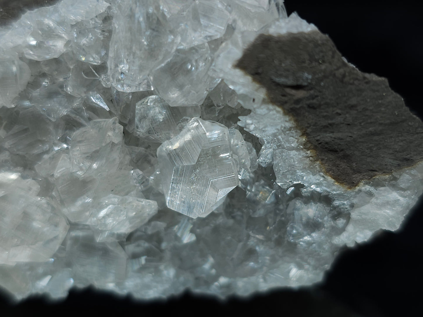 #33116 Super clear Nailhead Spar Calcite cluster with Chalcopyrite ore and multiple small fossils in the matrix