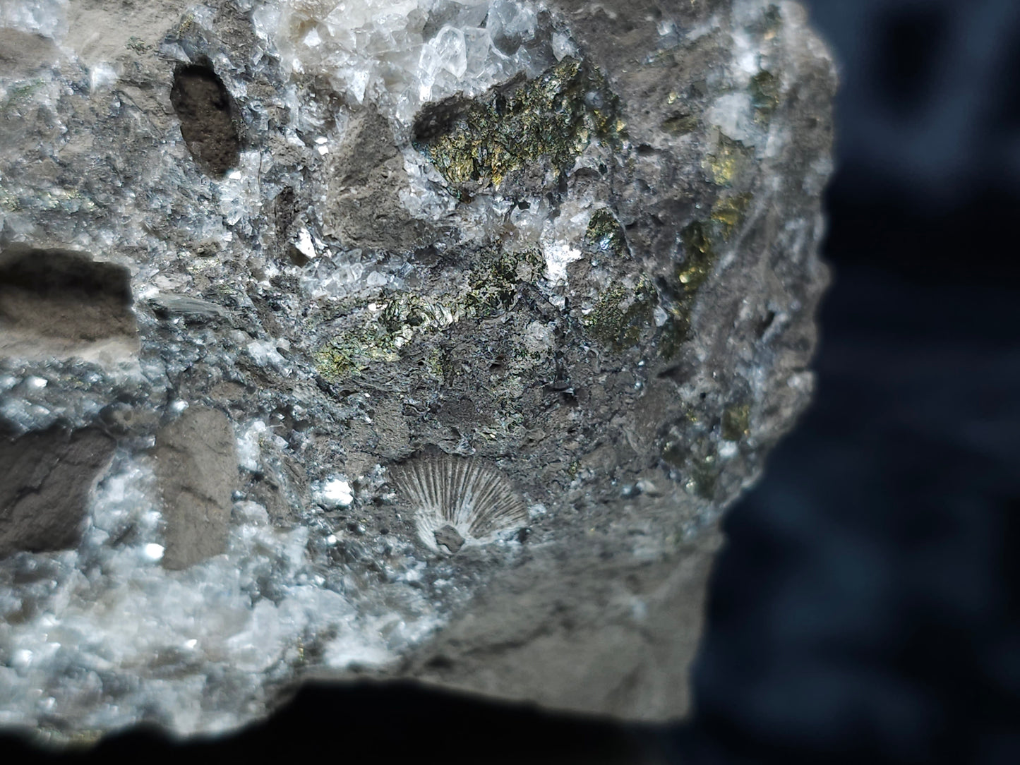 #33119 Super clear Nailhead Spar Calcite cluster with Chalcopyrite ore and multiple small fossils in the matrix