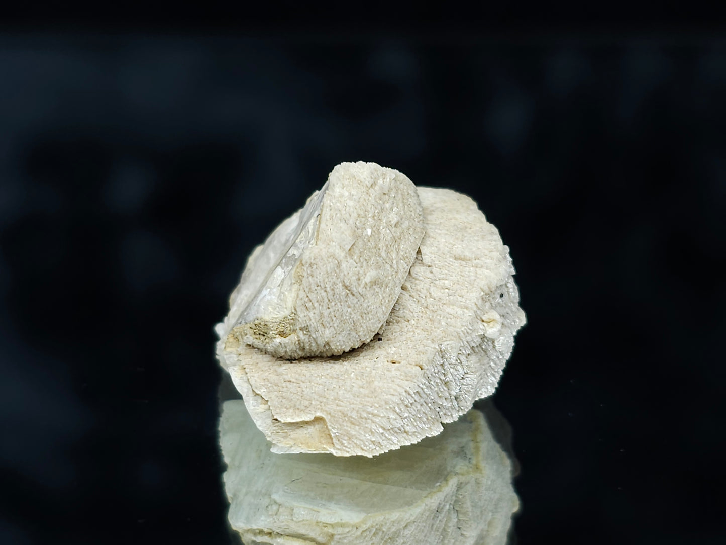 #88034 Cream-white Calcite pseudomorph after twin Combined from Calcite