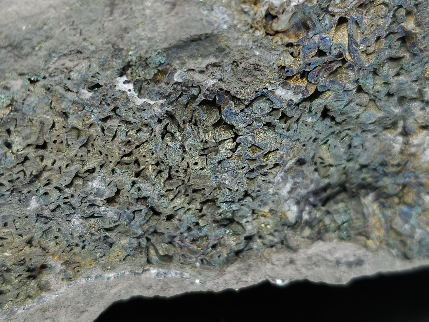 #55008 Fossil flower with peacock ore Chalcopyrite coating and Nailhead Spar Calcite with multiple fossils in the matrix