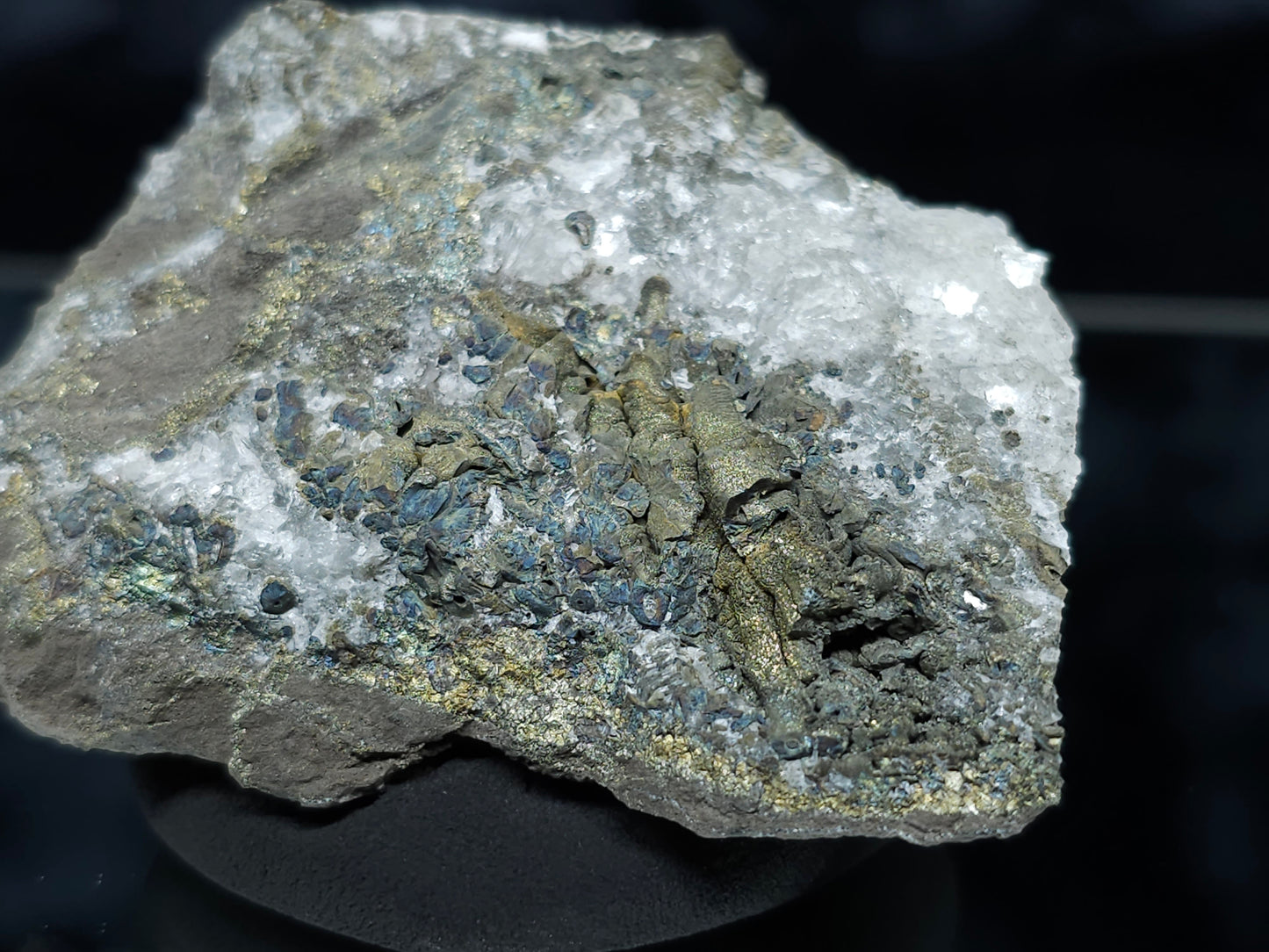 #55009 Fossil flower with peacock ore Chalcopyrite coating with Calcite and multiple fossils in the matrix