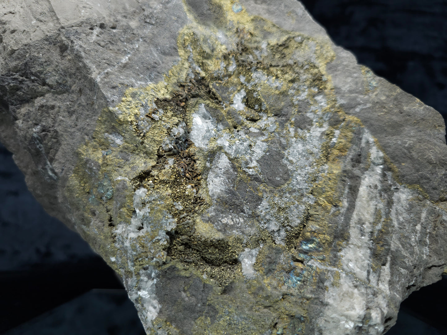 #55013 Fossil flower with peacock ore Chalcopyrite coating with hydrothermal Calcite deposit it also have uncommon hard to find Chalcopyrite flake formation with multiple fossils in the matrix