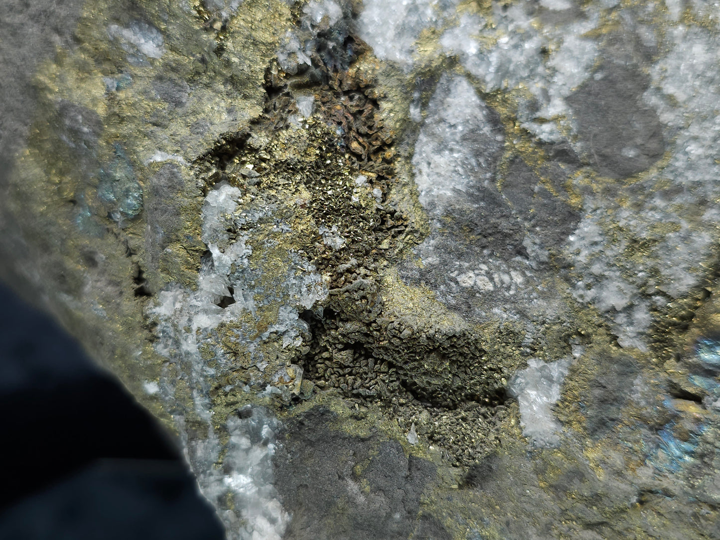 #55013 Fossil flower with peacock ore Chalcopyrite coating with hydrothermal Calcite deposit it also have uncommon hard to find Chalcopyrite flake formation with multiple fossils in the matrix
