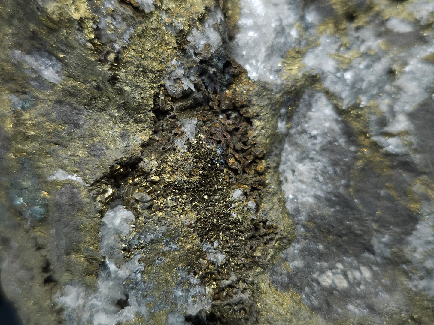#55013 Fossil flower with peacock ore Chalcopyrite coating with hydrothermal Calcite deposit it also have uncommon hard to find Chalcopyrite flake formation with multiple fossils in the matrix