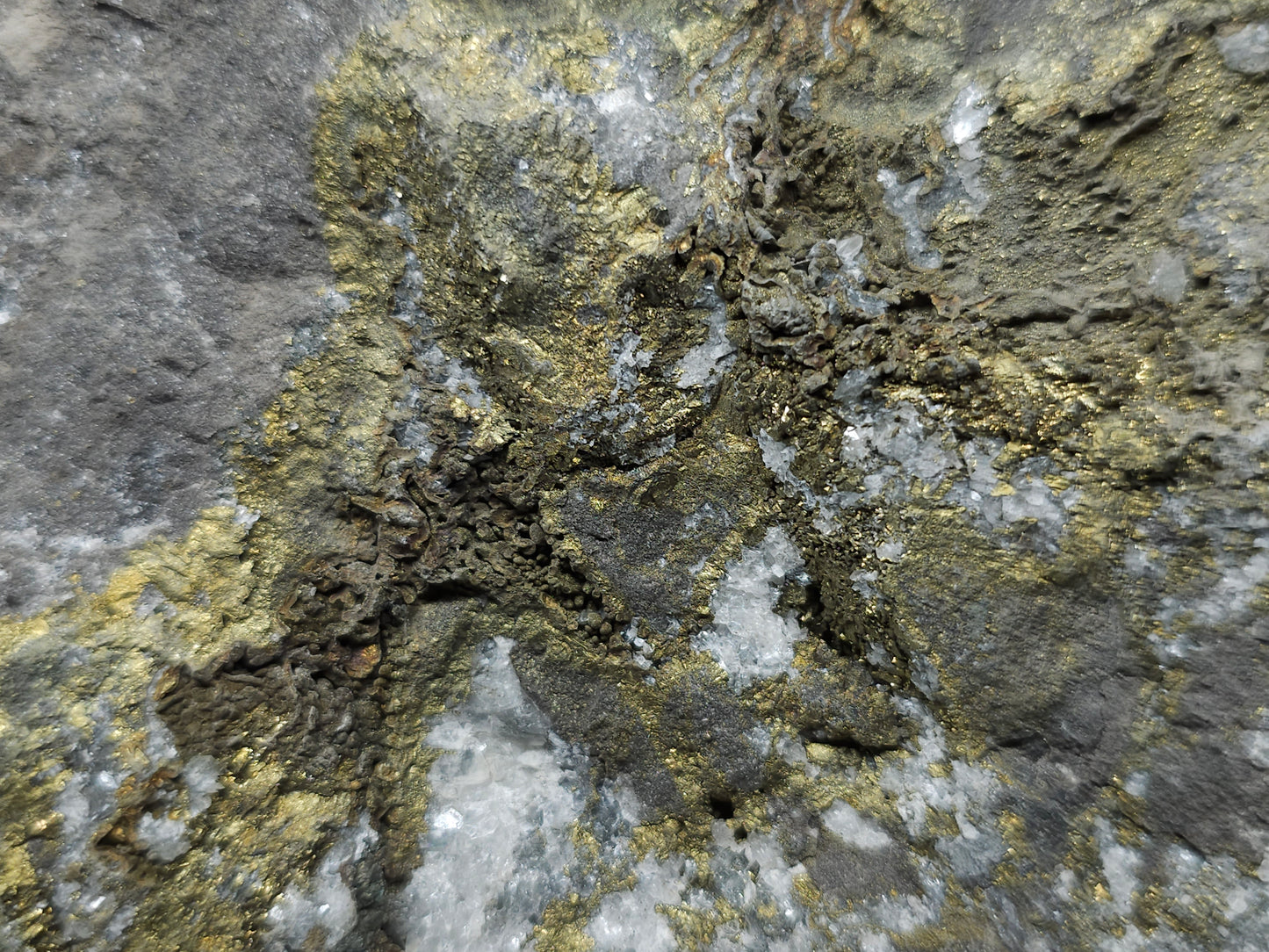 #55013 Fossil flower with peacock ore Chalcopyrite coating with hydrothermal Calcite deposit it also have uncommon hard to find Chalcopyrite flake formation with multiple fossils in the matrix