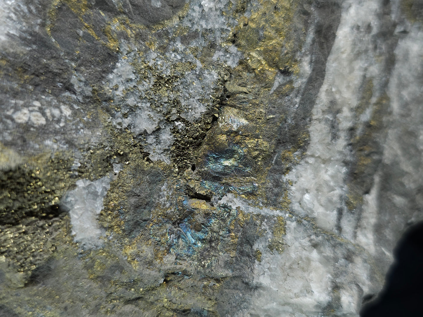 #55013 Fossil flower with peacock ore Chalcopyrite coating with hydrothermal Calcite deposit it also have uncommon hard to find Chalcopyrite flake formation with multiple fossils in the matrix