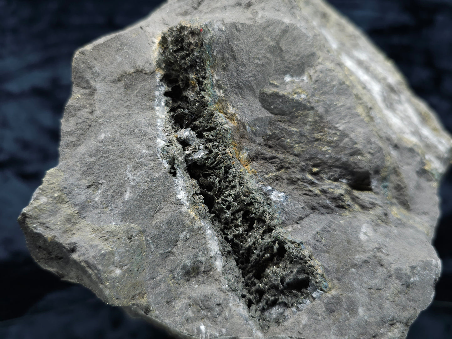 #55013 Fossil flower with peacock ore Chalcopyrite coating with hydrothermal Calcite deposit it also have uncommon hard to find Chalcopyrite flake formation with multiple fossils in the matrix