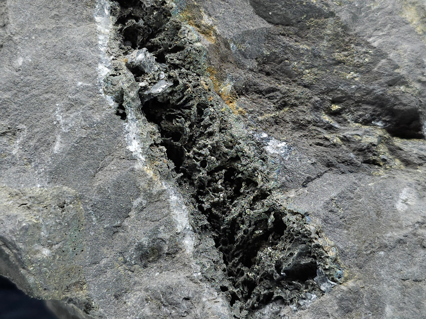 #55013 Fossil flower with peacock ore Chalcopyrite coating with hydrothermal Calcite deposit it also have uncommon hard to find Chalcopyrite flake formation with multiple fossils in the matrix