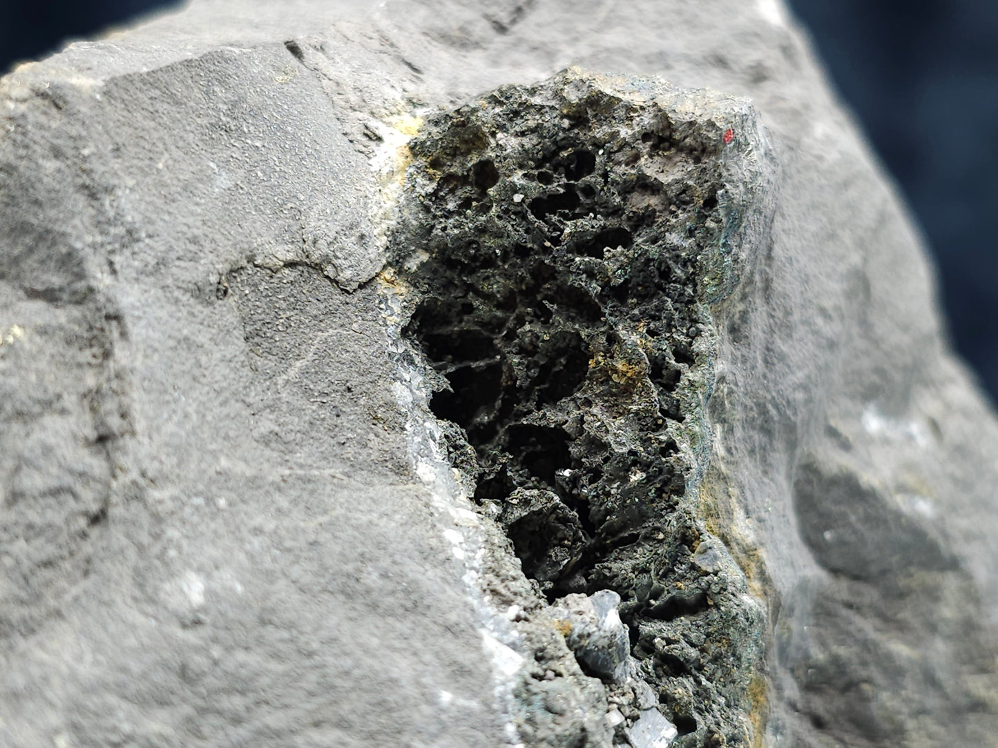 #55013 Fossil flower with peacock ore Chalcopyrite coating with hydrothermal Calcite deposit it also have uncommon hard to find Chalcopyrite flake formation with multiple fossils in the matrix