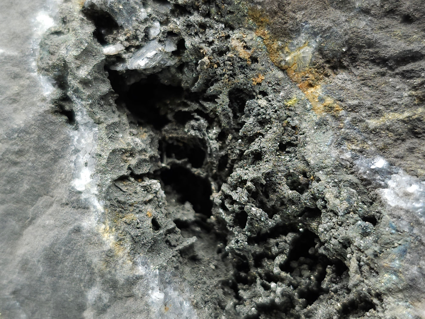 #55013 Fossil flower with peacock ore Chalcopyrite coating with hydrothermal Calcite deposit it also have uncommon hard to find Chalcopyrite flake formation with multiple fossils in the matrix
