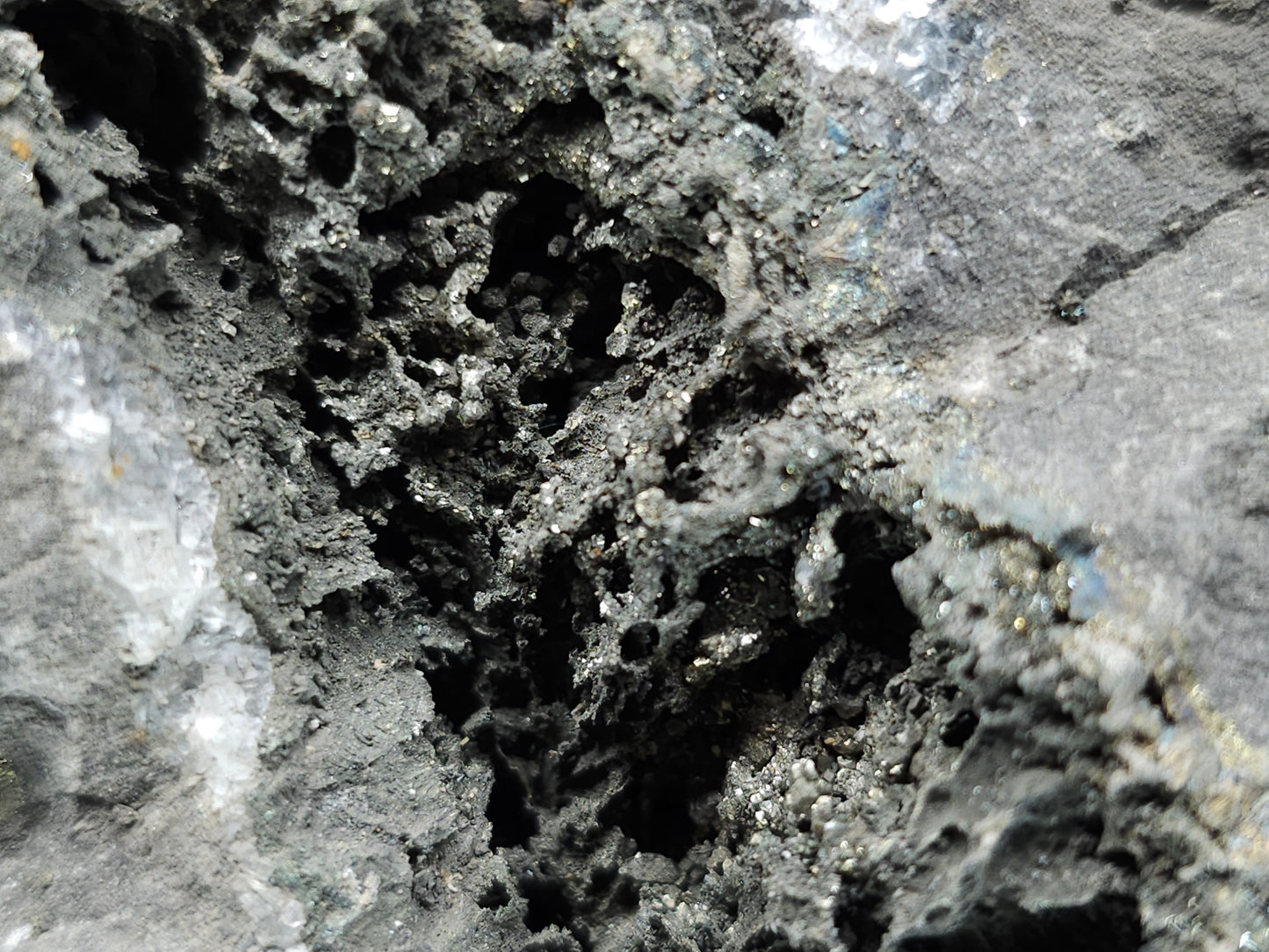 #55013 Fossil flower with peacock ore Chalcopyrite coating with hydrothermal Calcite deposit it also have uncommon hard to find Chalcopyrite flake formation with multiple fossils in the matrix