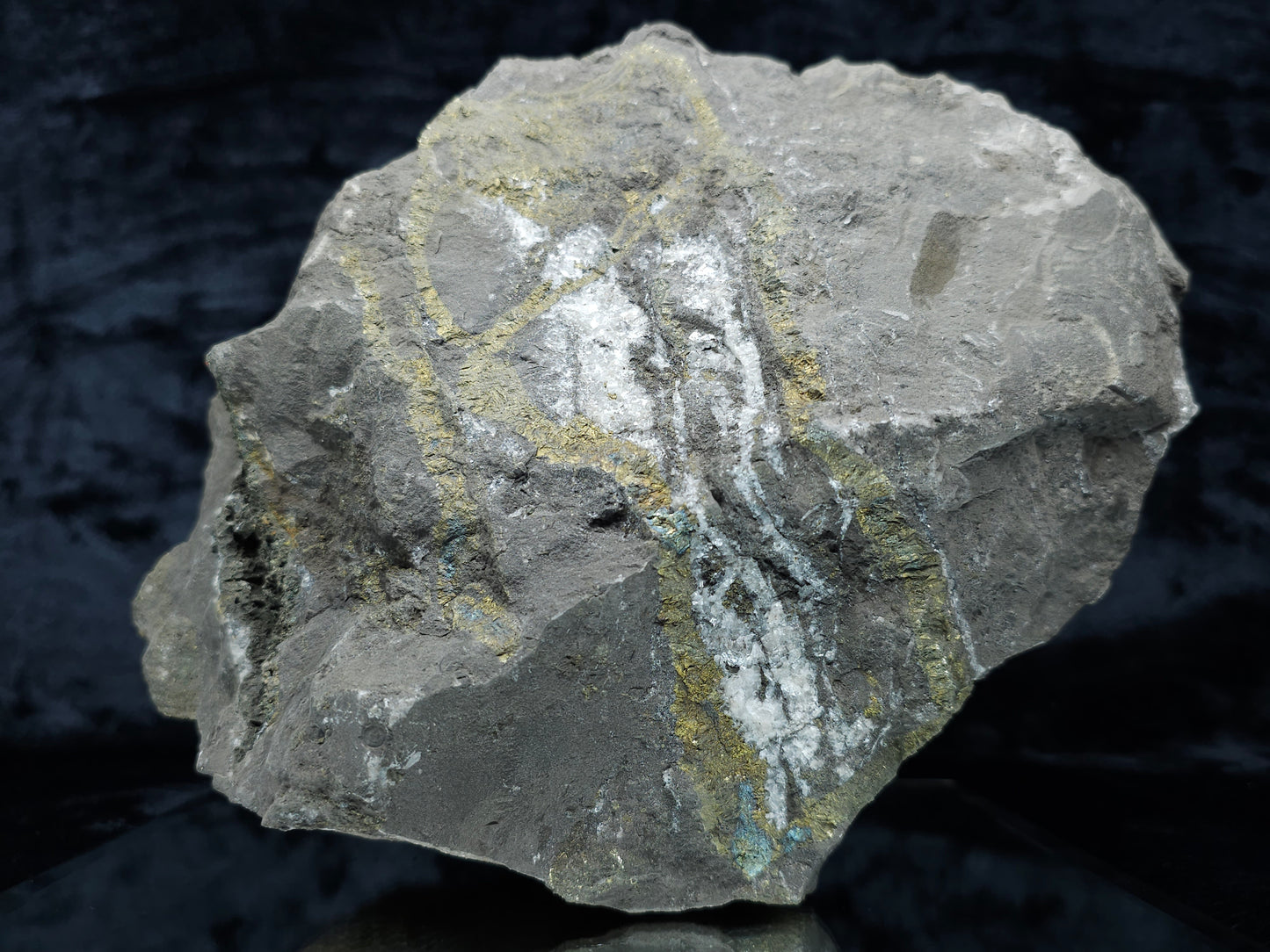 #55013 Fossil flower with peacock ore Chalcopyrite coating with hydrothermal Calcite deposit it also have uncommon hard to find Chalcopyrite flake formation with multiple fossils in the matrix