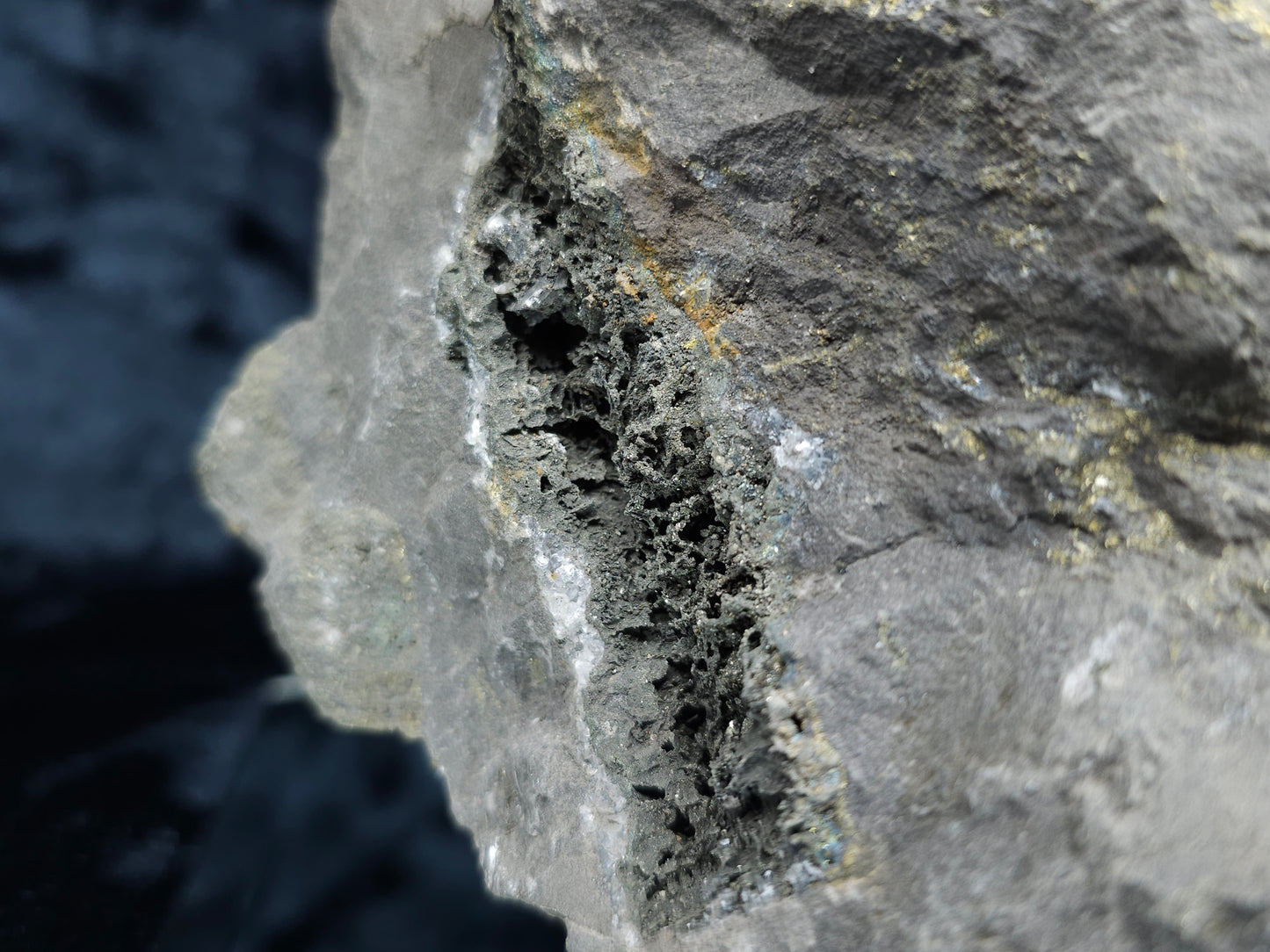 #55013 Fossil flower with peacock ore Chalcopyrite coating with hydrothermal Calcite deposit it also have uncommon hard to find Chalcopyrite flake formation with multiple fossils in the matrix