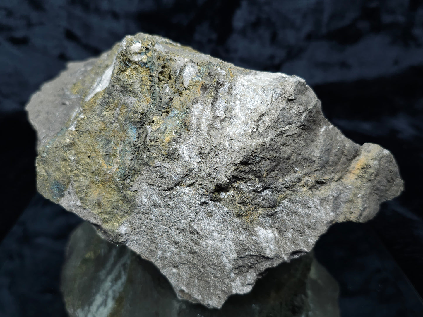 #55013 Fossil flower with peacock ore Chalcopyrite coating with hydrothermal Calcite deposit it also have uncommon hard to find Chalcopyrite flake formation with multiple fossils in the matrix