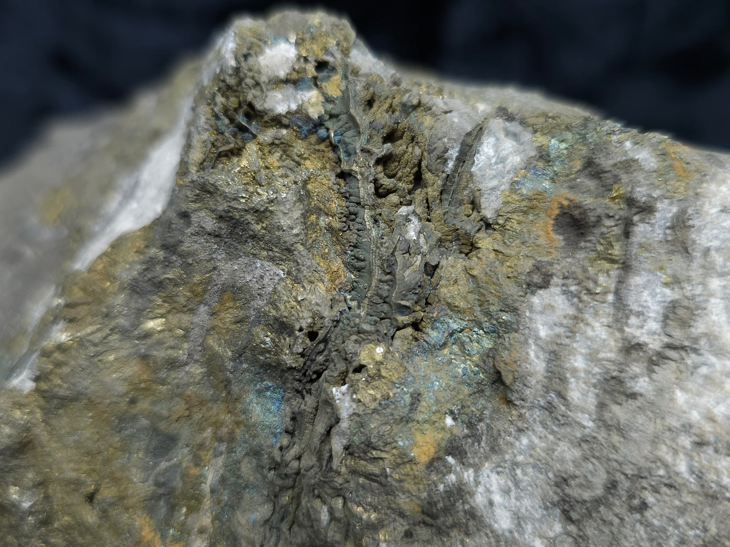#55013 Fossil flower with peacock ore Chalcopyrite coating with hydrothermal Calcite deposit it also have uncommon hard to find Chalcopyrite flake formation with multiple fossils in the matrix