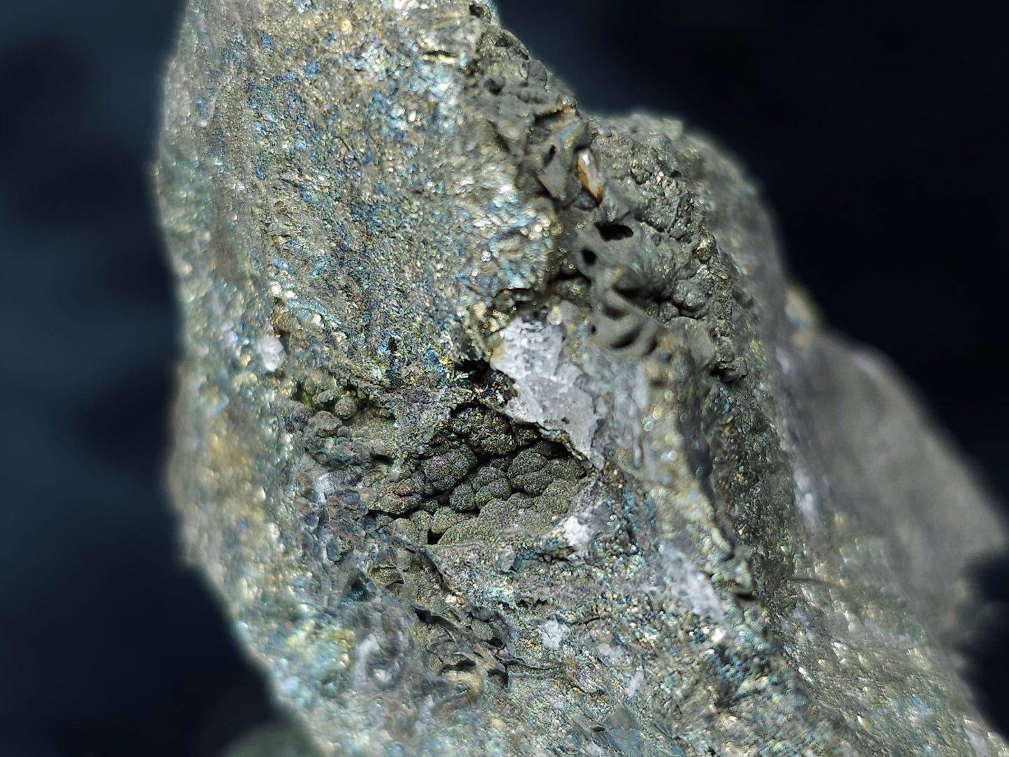 #55016 Fossil flower with peacock ore Chalcopyrite coating with multiple fossils in the matrix