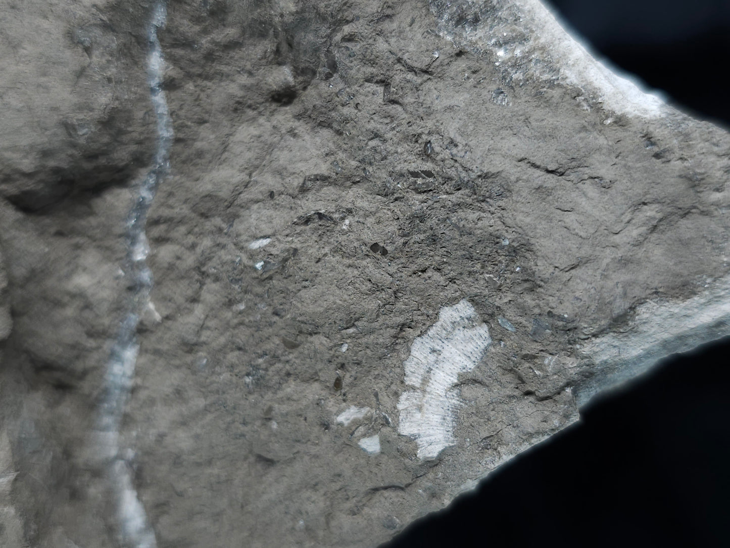 #33146 Super clear Nailhead Spar Calcite geode with Chalcopyrite ore and multiple small fossils in the matrix