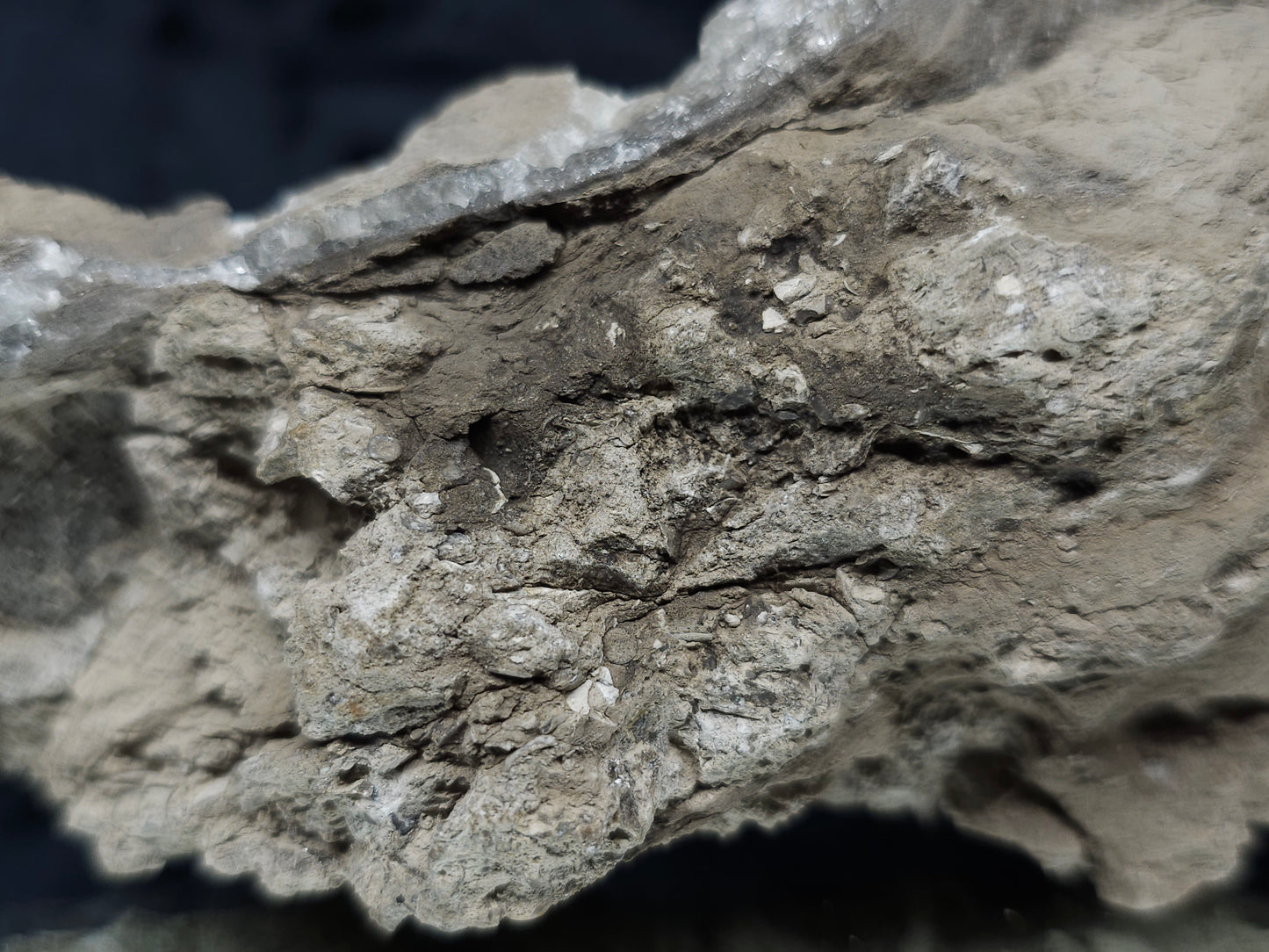 #33143 Super clear Nailhead Spar Calcite cluster with Chalcopyrite ore and multiple small fossils in the matrix