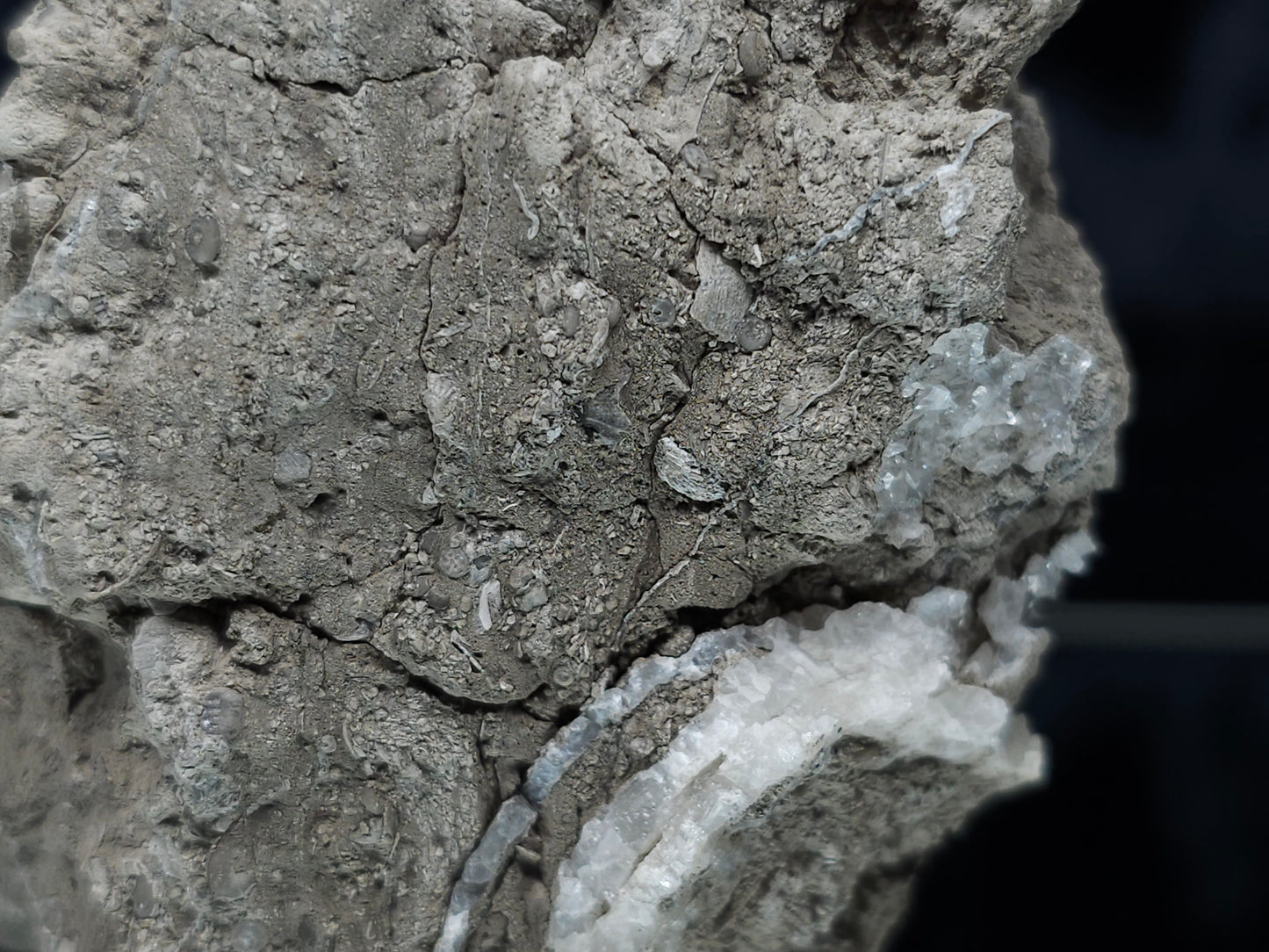 #33135 Super clear Nailhead Spar Calcite cluster with Chalcopyrite ore and multiple small fossils in the matrix