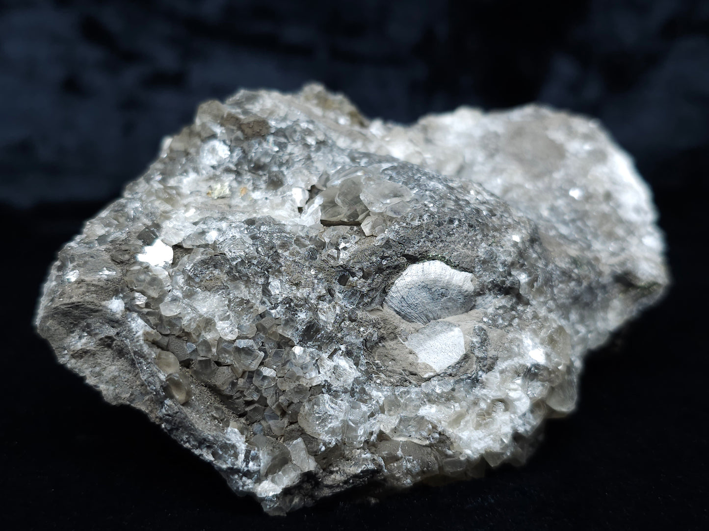 #33148 Super clear Nailhead Spar Calcite cluster with Chalcopyrite ore and multiple small fossils in the matrix