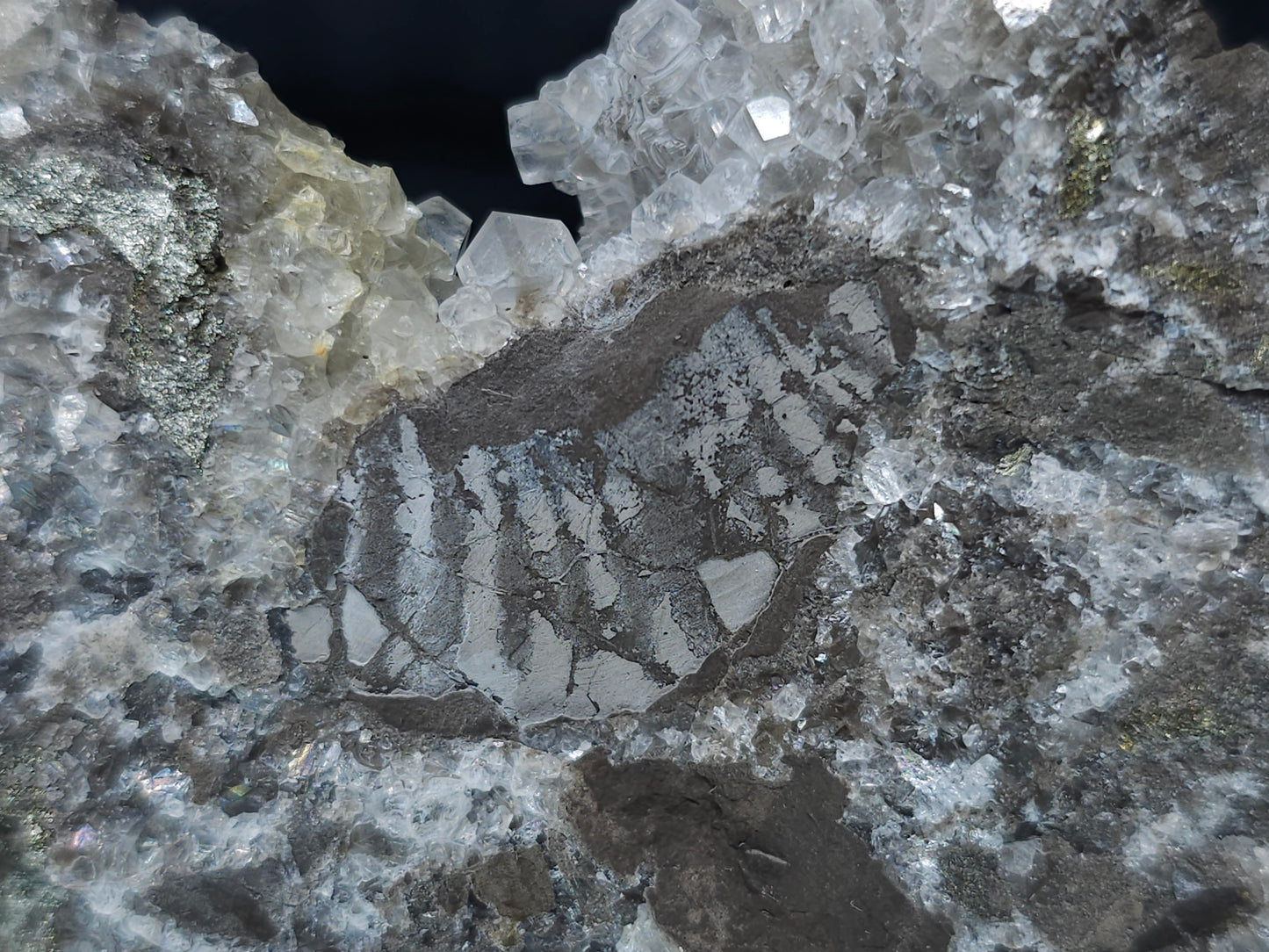 #33154 Super clear Nailhead Spar Calcite cluster with Chalcopyrite ore and multiple small fossils in the matrix