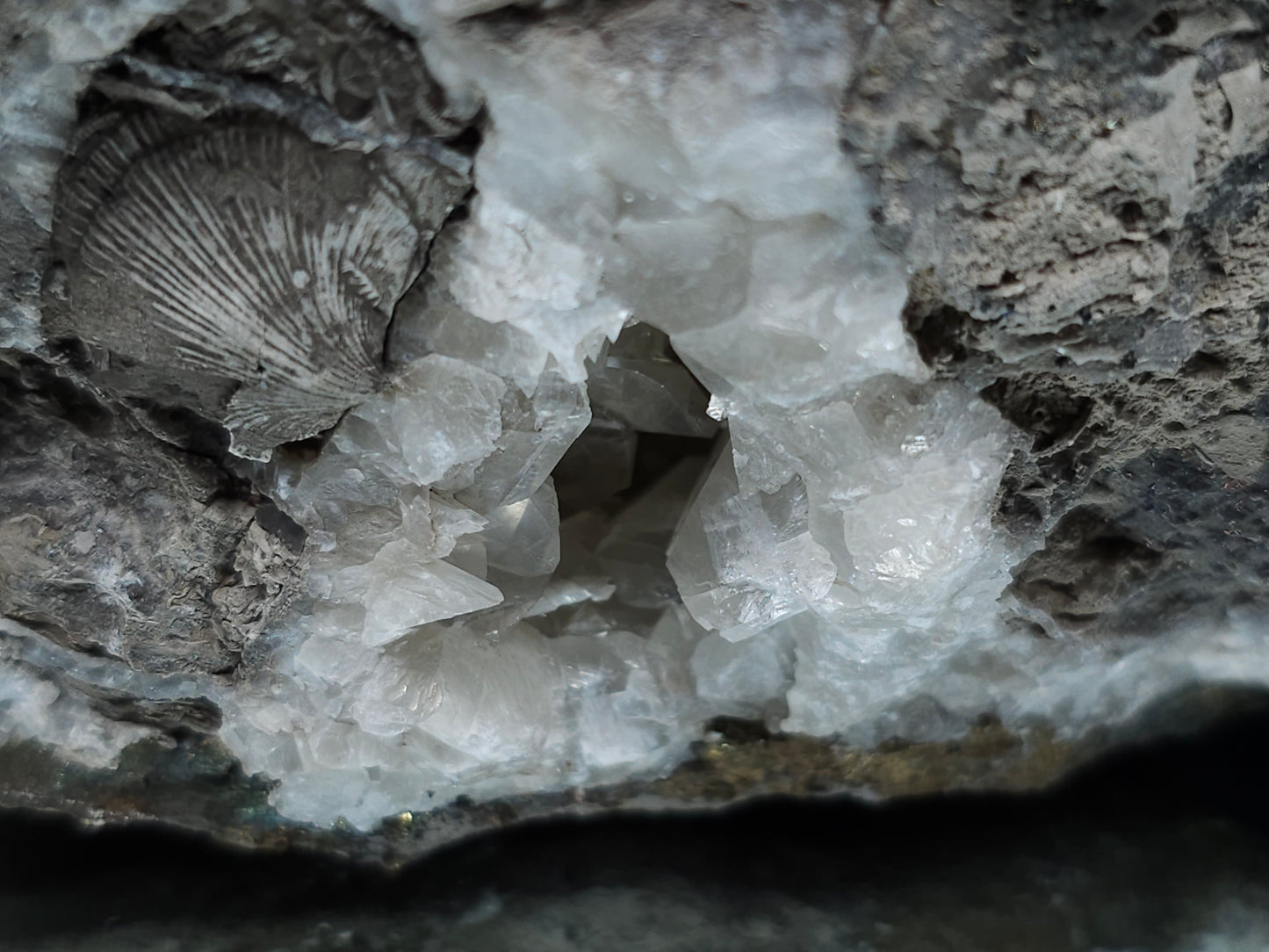 #33156 Super clear Nailhead Spar Calcite geode with Chalcopyrite ore and multiple small fossils in the matrix