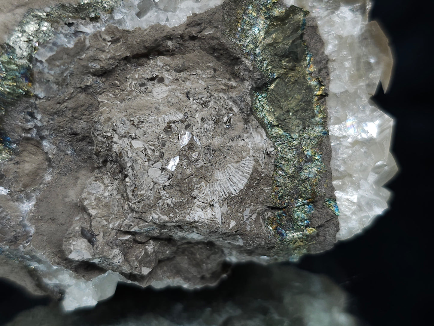 #33168 Super clear Nailhead Spar Calcite cluster with Chalcopyrite ore and multiple small fossils in the matrix