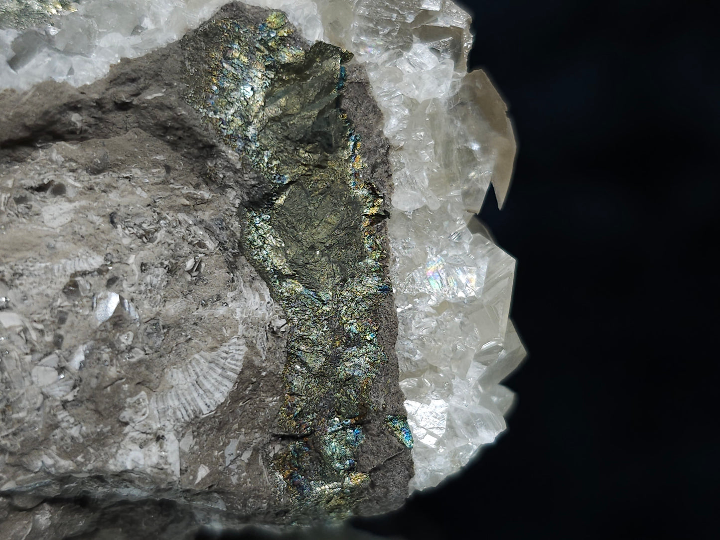 #33168 Super clear Nailhead Spar Calcite cluster with Chalcopyrite ore and multiple small fossils in the matrix