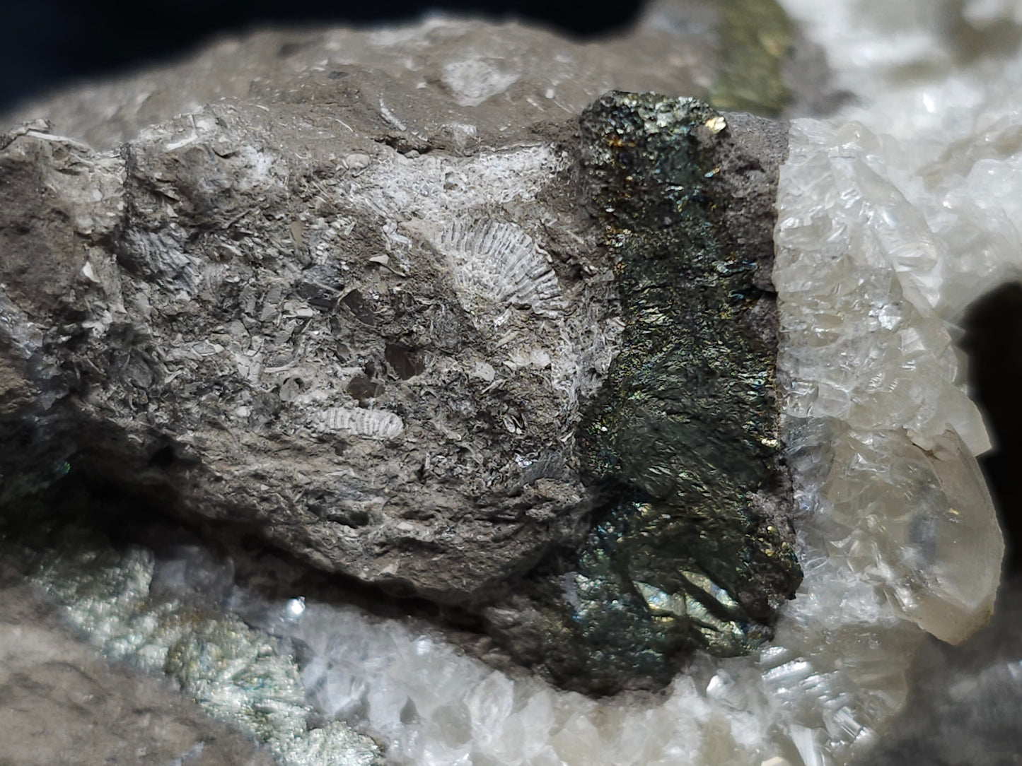 #33176 Special clear Nailhead Spar Calcite cluster with Chalcopyrite ore and multiple small fossils in the matrix