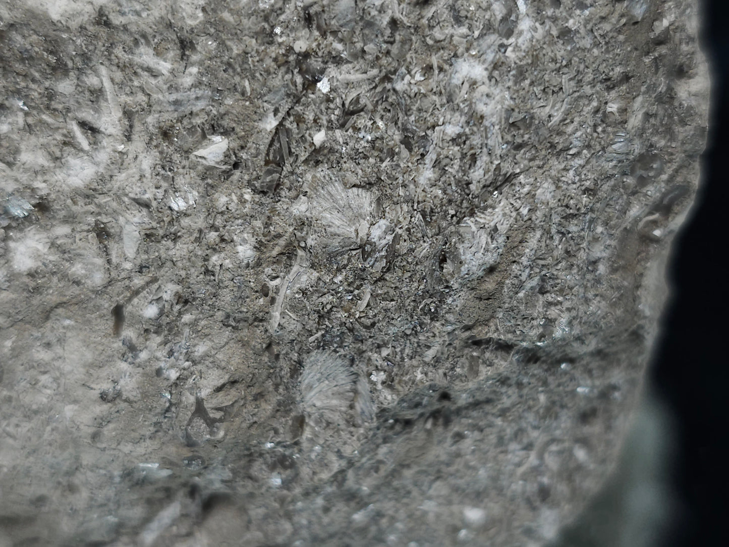 #33183 Special clear Nailhead Spar Calcite cluster with Chalcopyrite ore and multiple small fossils in the matrix