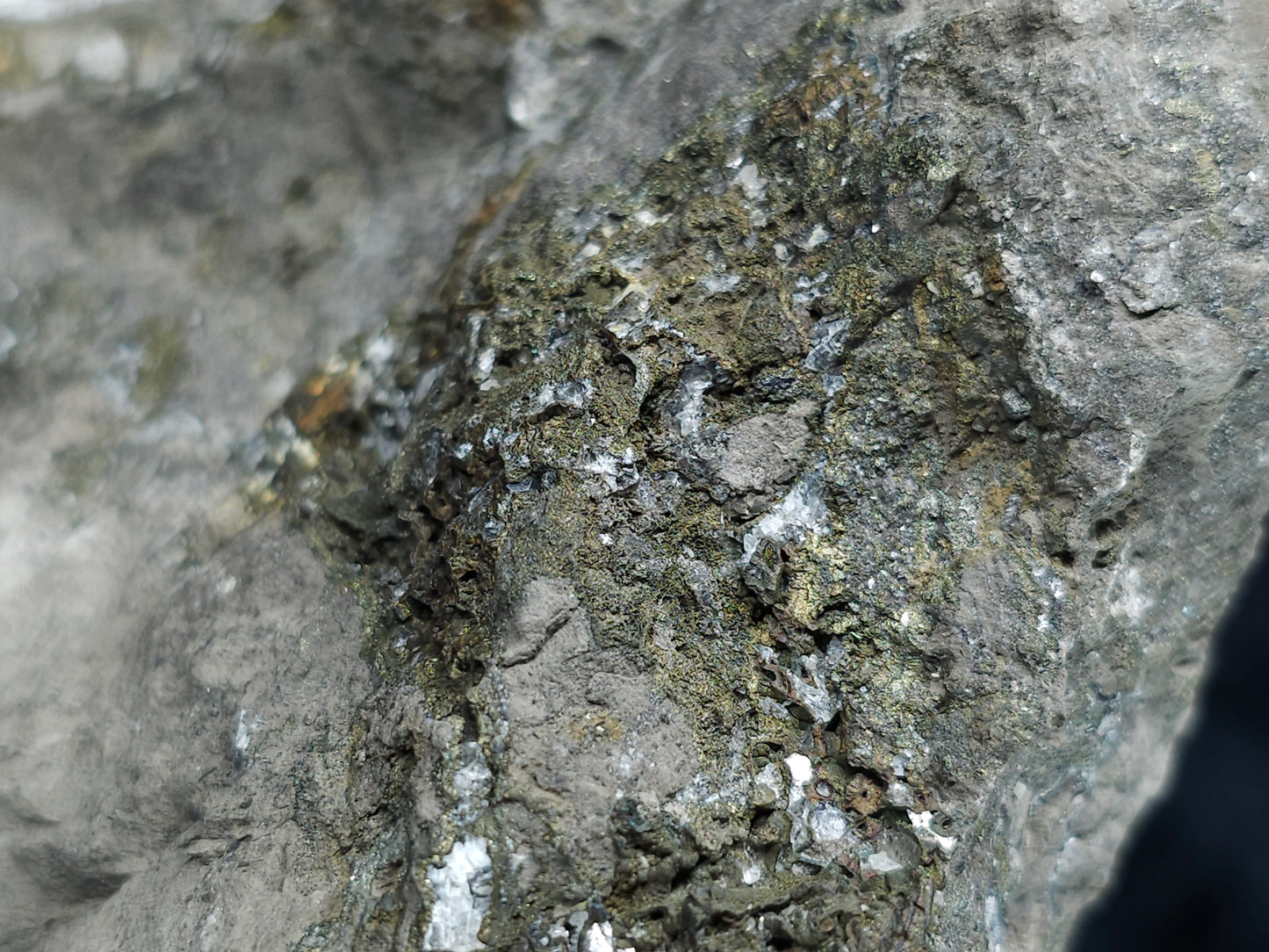 #33185 Special clear Nailhead Spar Calcite cluster with Chalcopyrite ore and multiple small fossils in the matrix