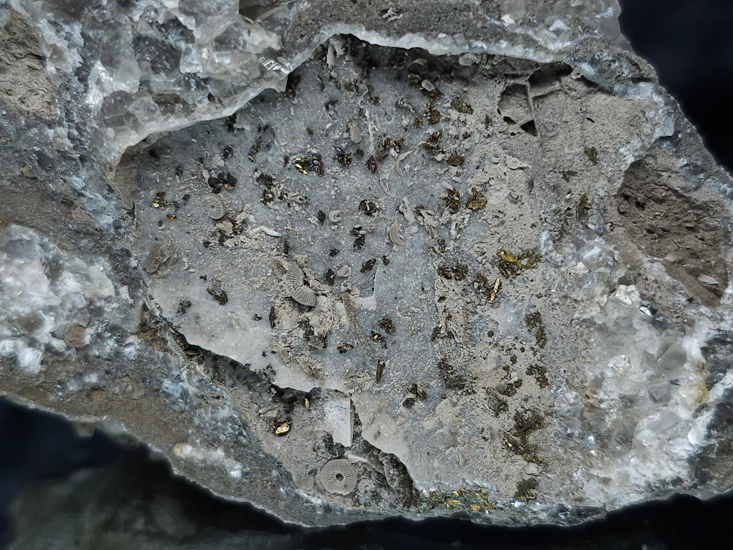 #33186 Double phantom Nailhead Spar Calcite cluster with Chalcopyrite ore and multiple small fossils in the matrix