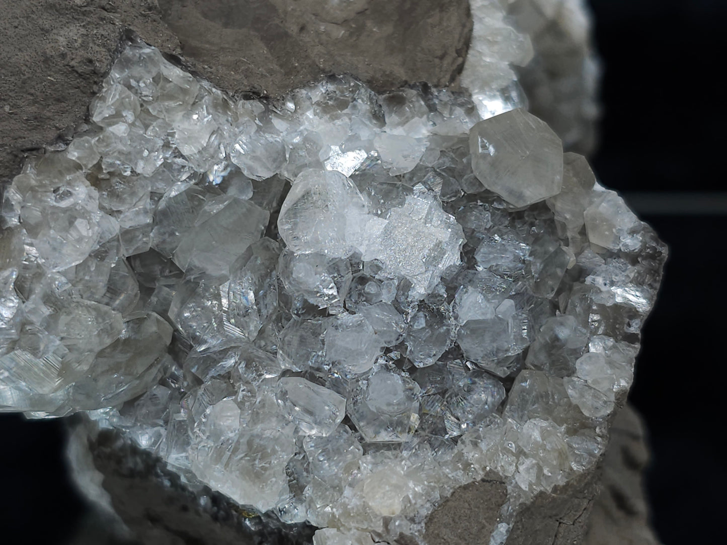 #33211 Double phantom Nailhead Spar Calcite cluster with Chalcopyrite ore and multiple small fossils in the matrix